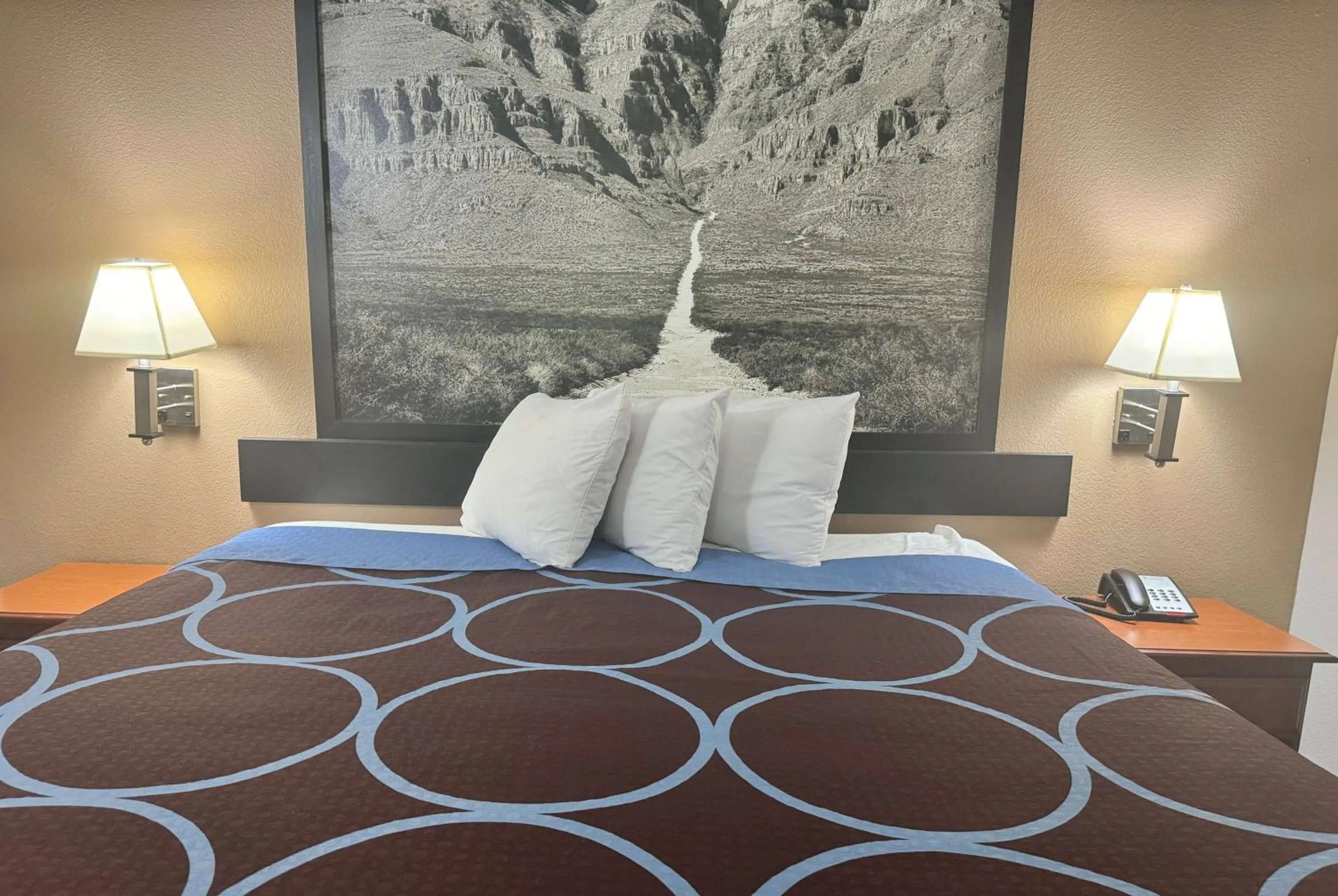 Photo of the whole room in Hotel Piney Woods