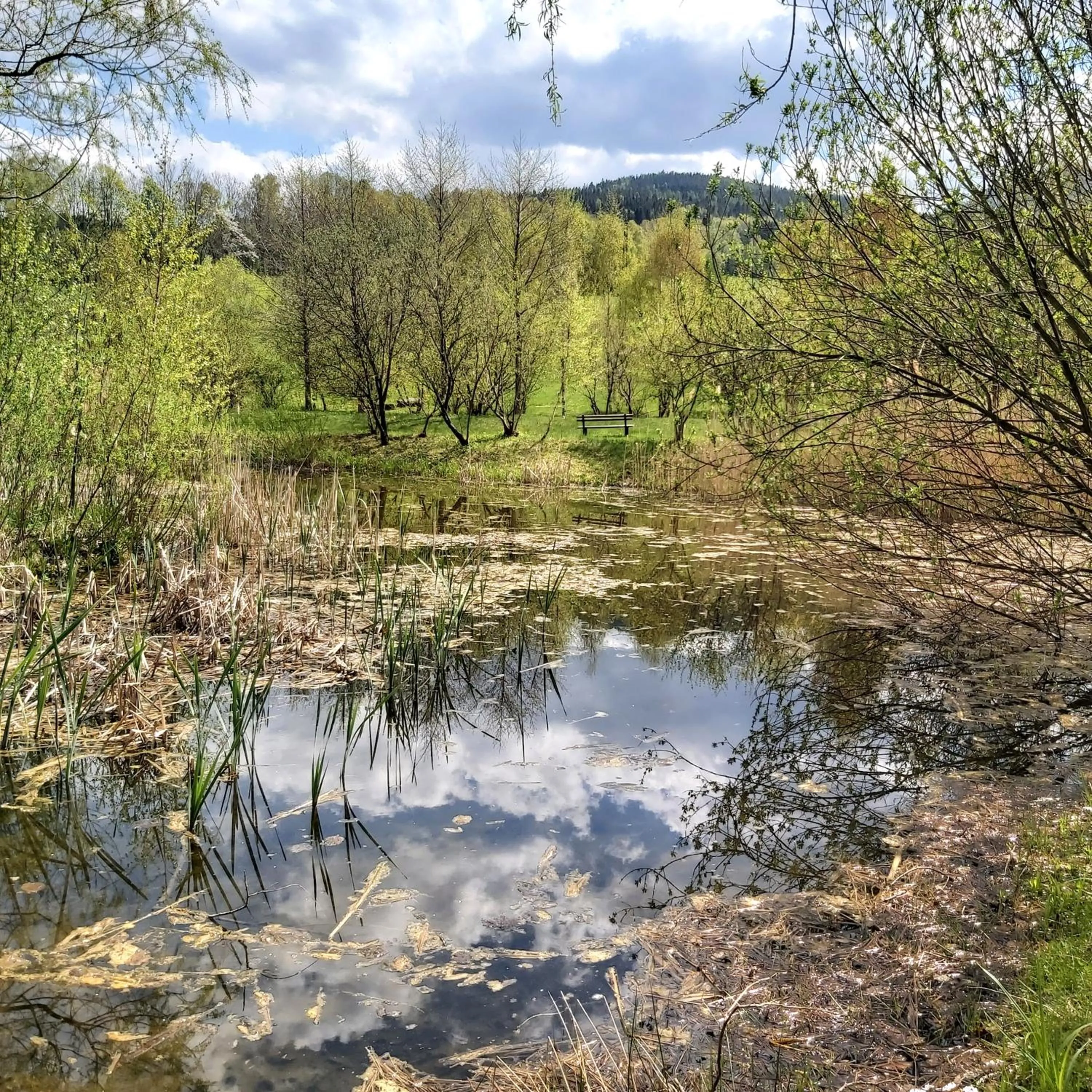 Garden in Hotel Helios