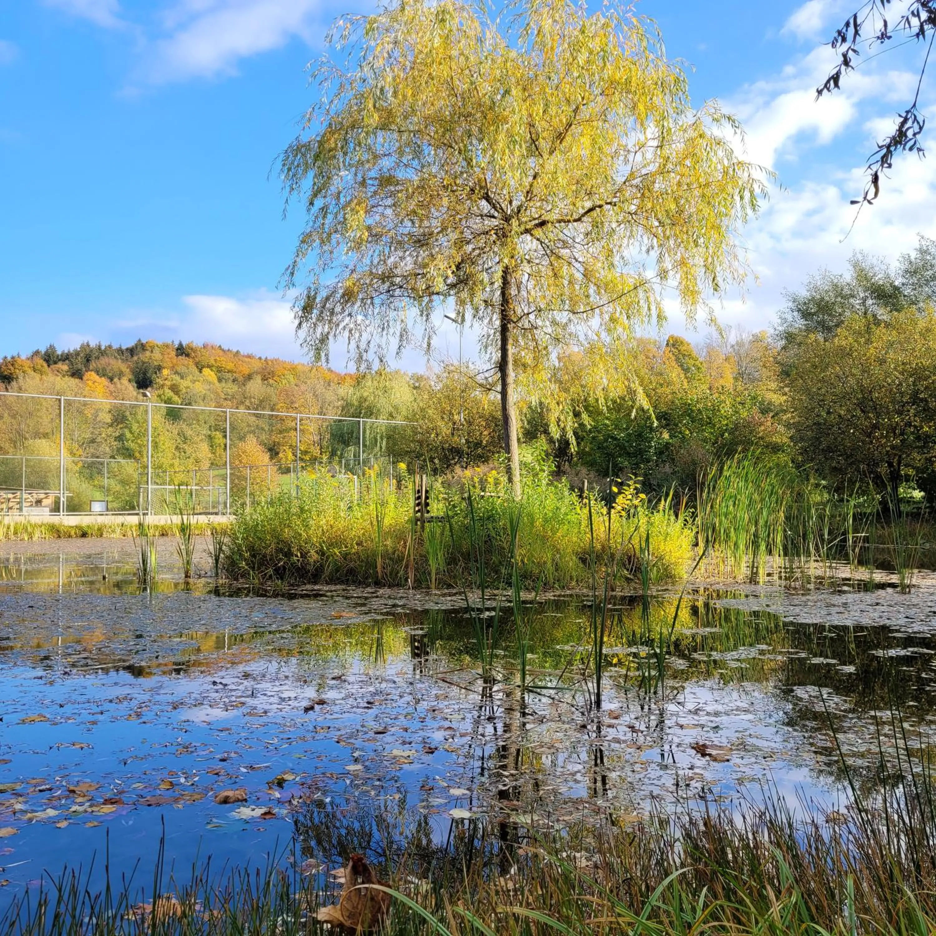 Garden in Hotel Helios