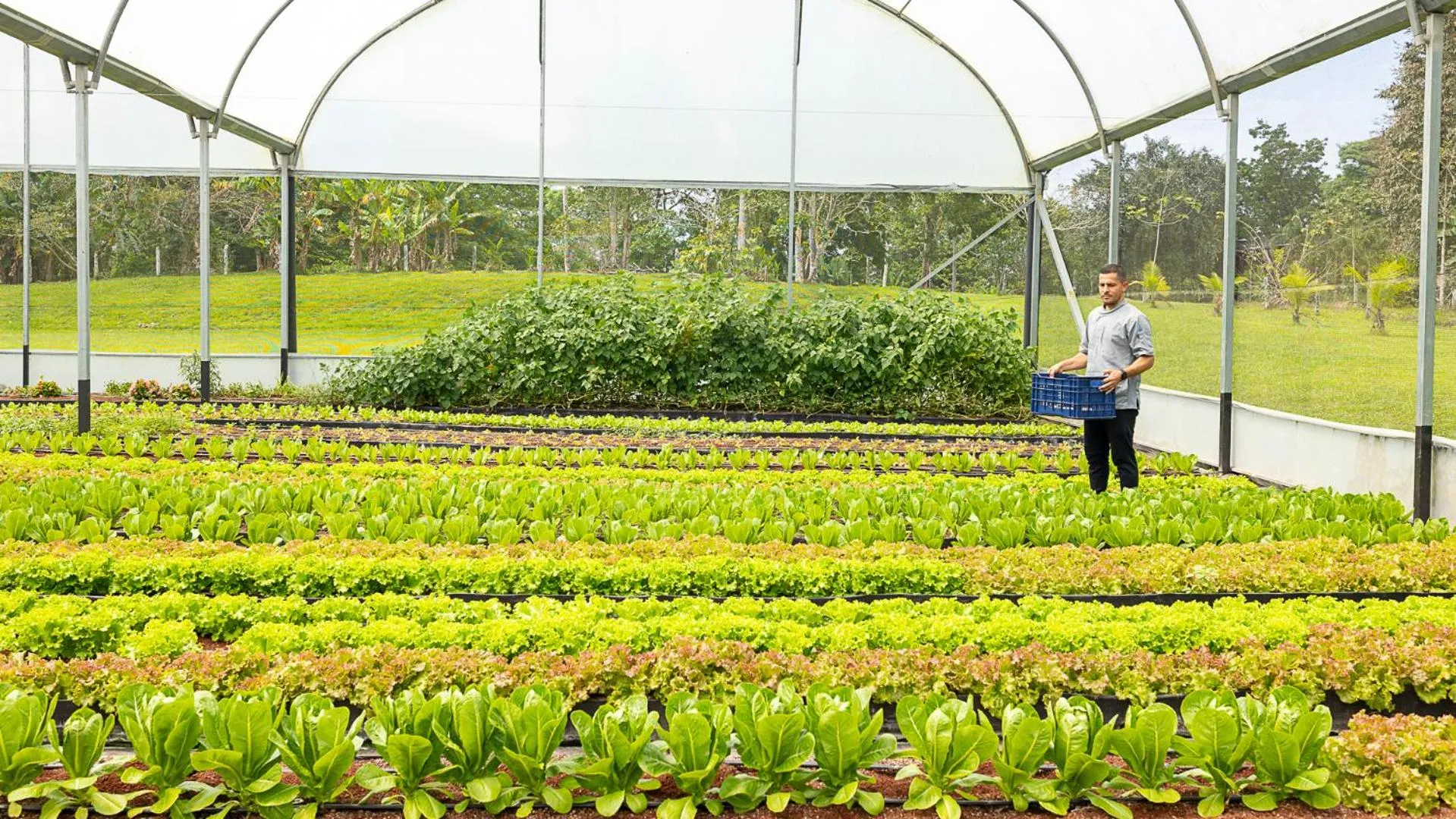 Natural landscape in Tilajari Hotel Resort