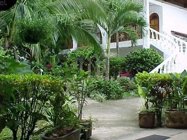 Garden in Hotel Villa Romantica