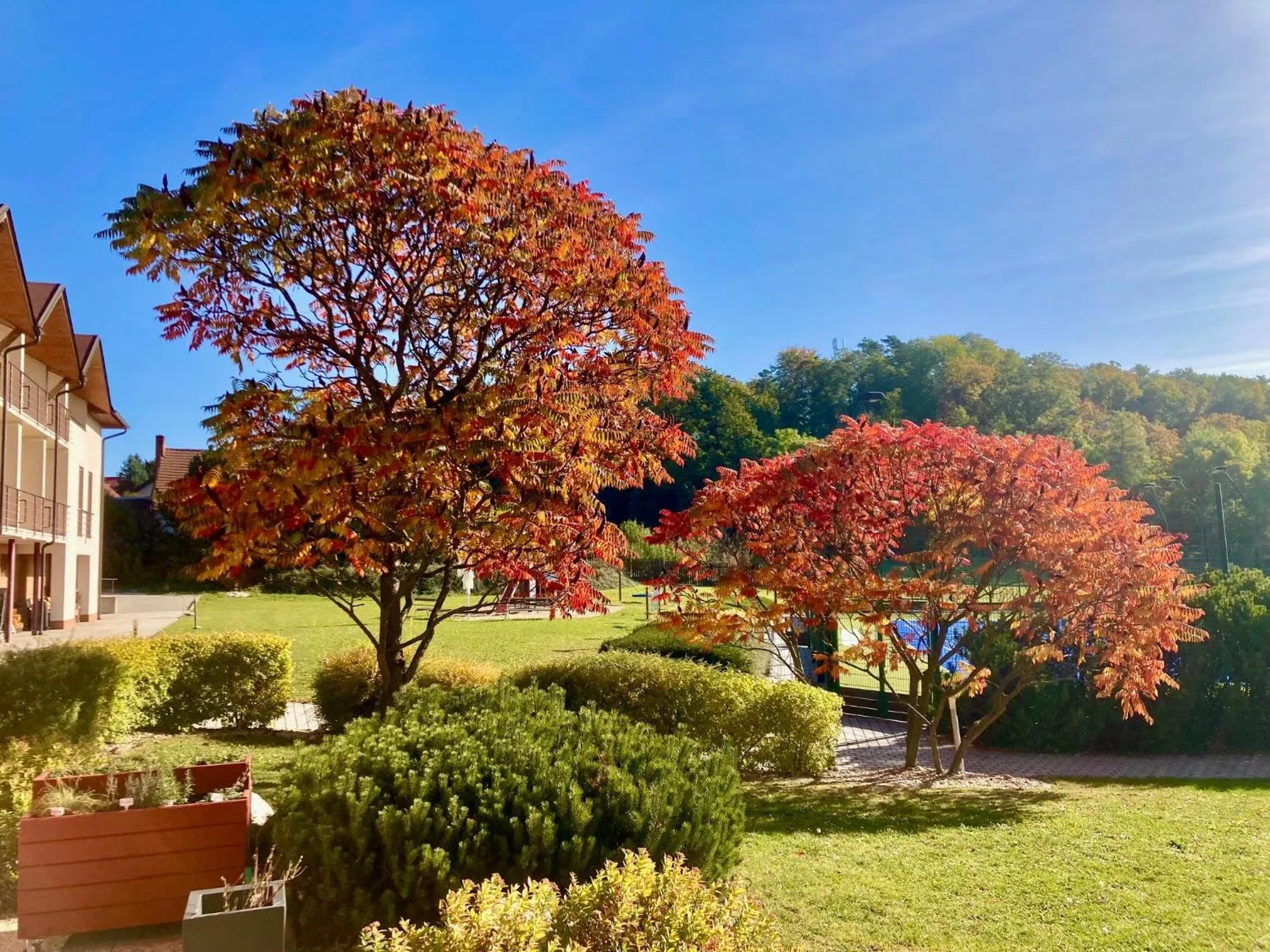 Garden view in K-Triumf Resort