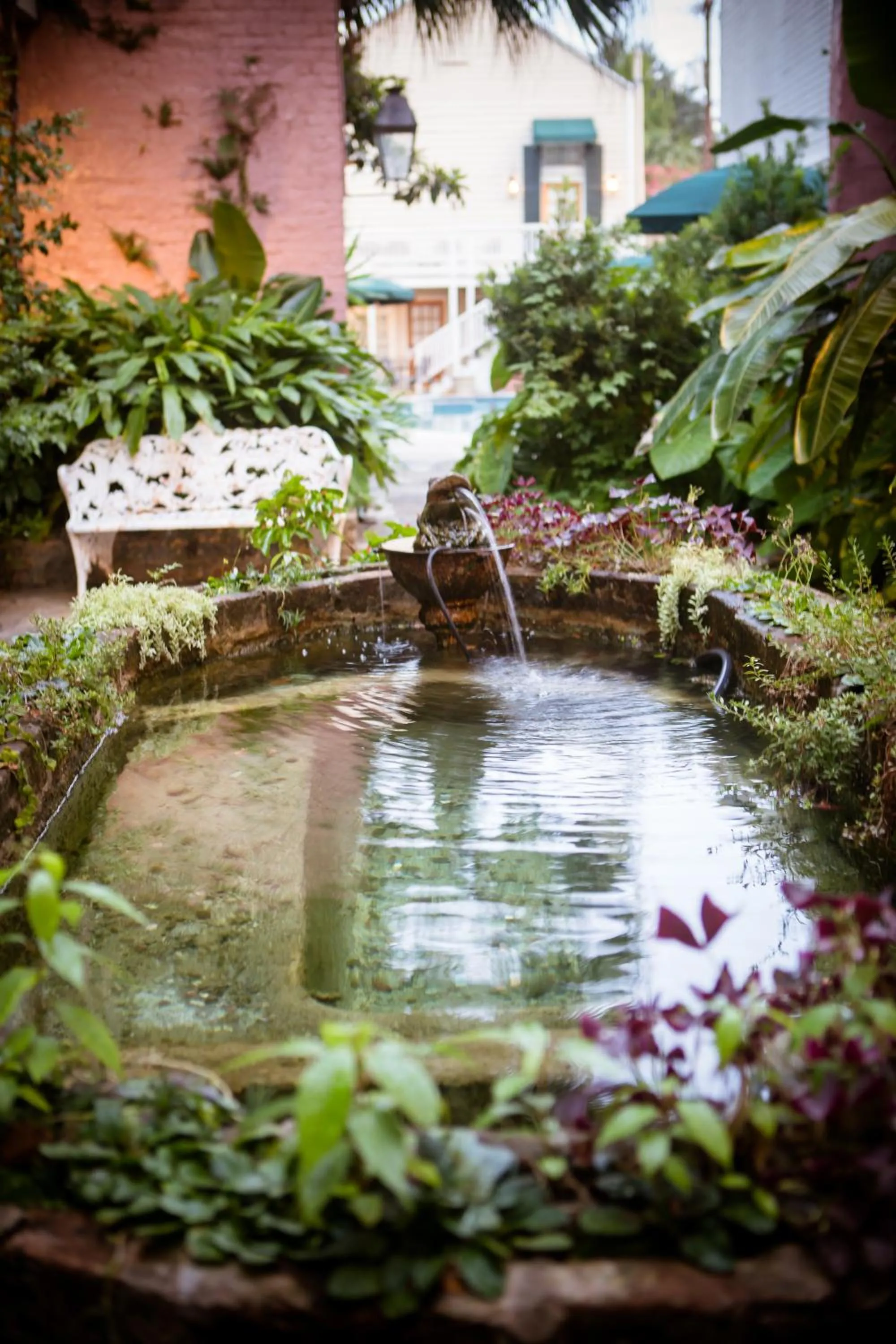Solarium in Lamothe House Hotel a French Quarter Guest Houses Property