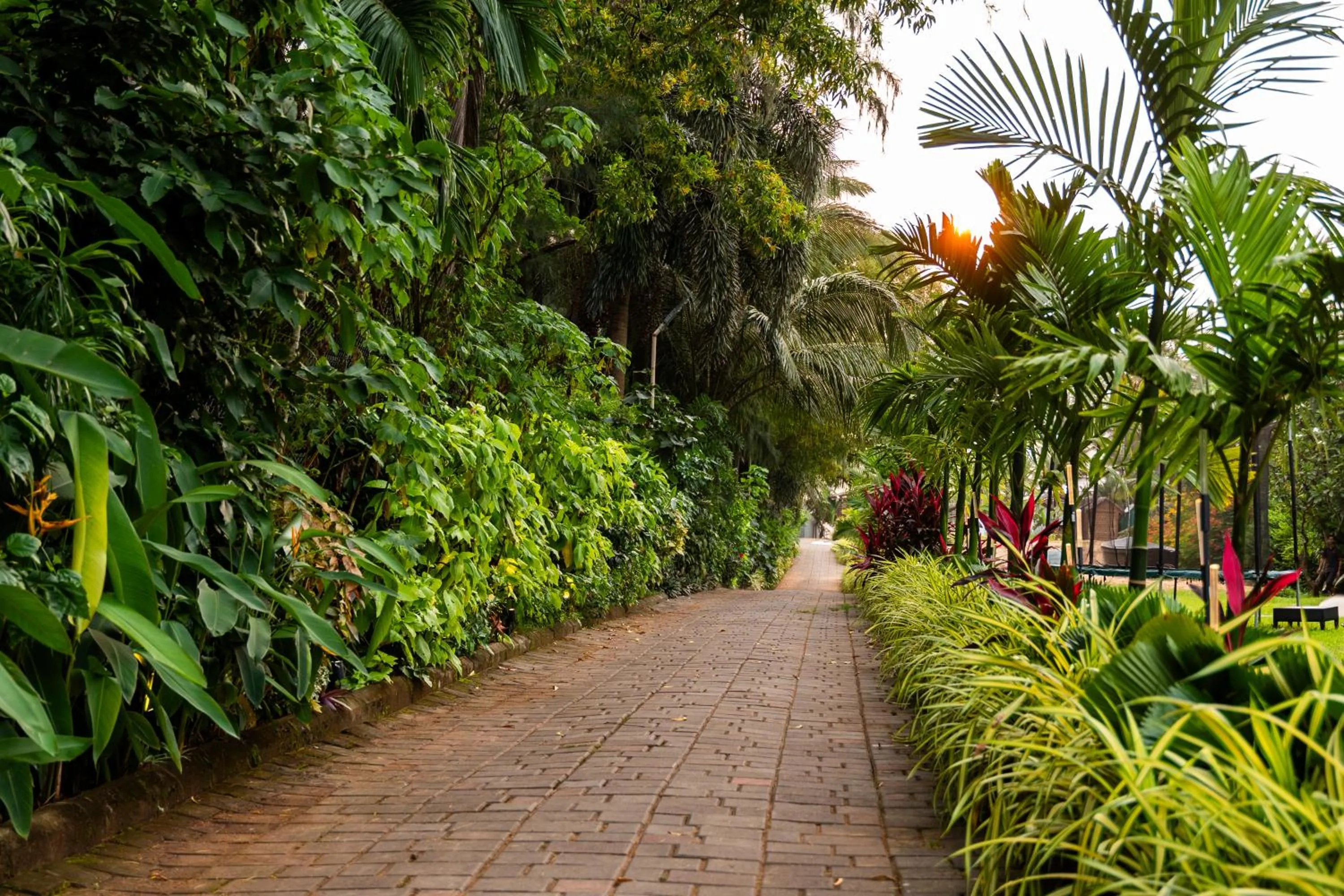 Garden view in Fahrenheit Hotels & Resorts