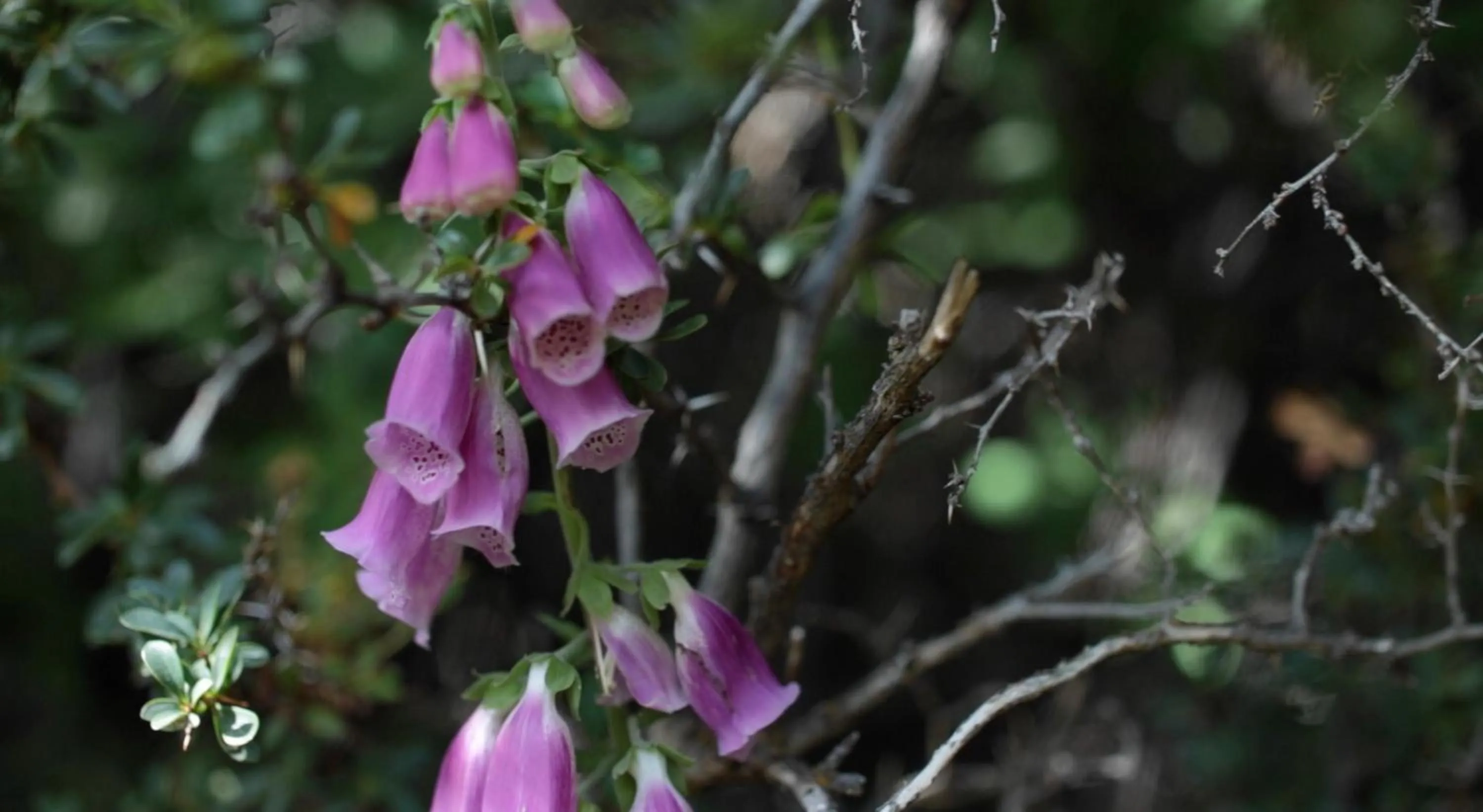 Off site in Río Serrano Hotel + Spa
