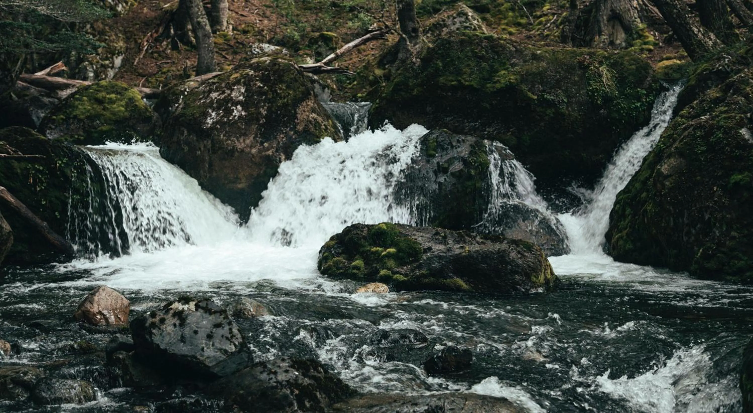 Natural landscape in Río Serrano Hotel + Spa