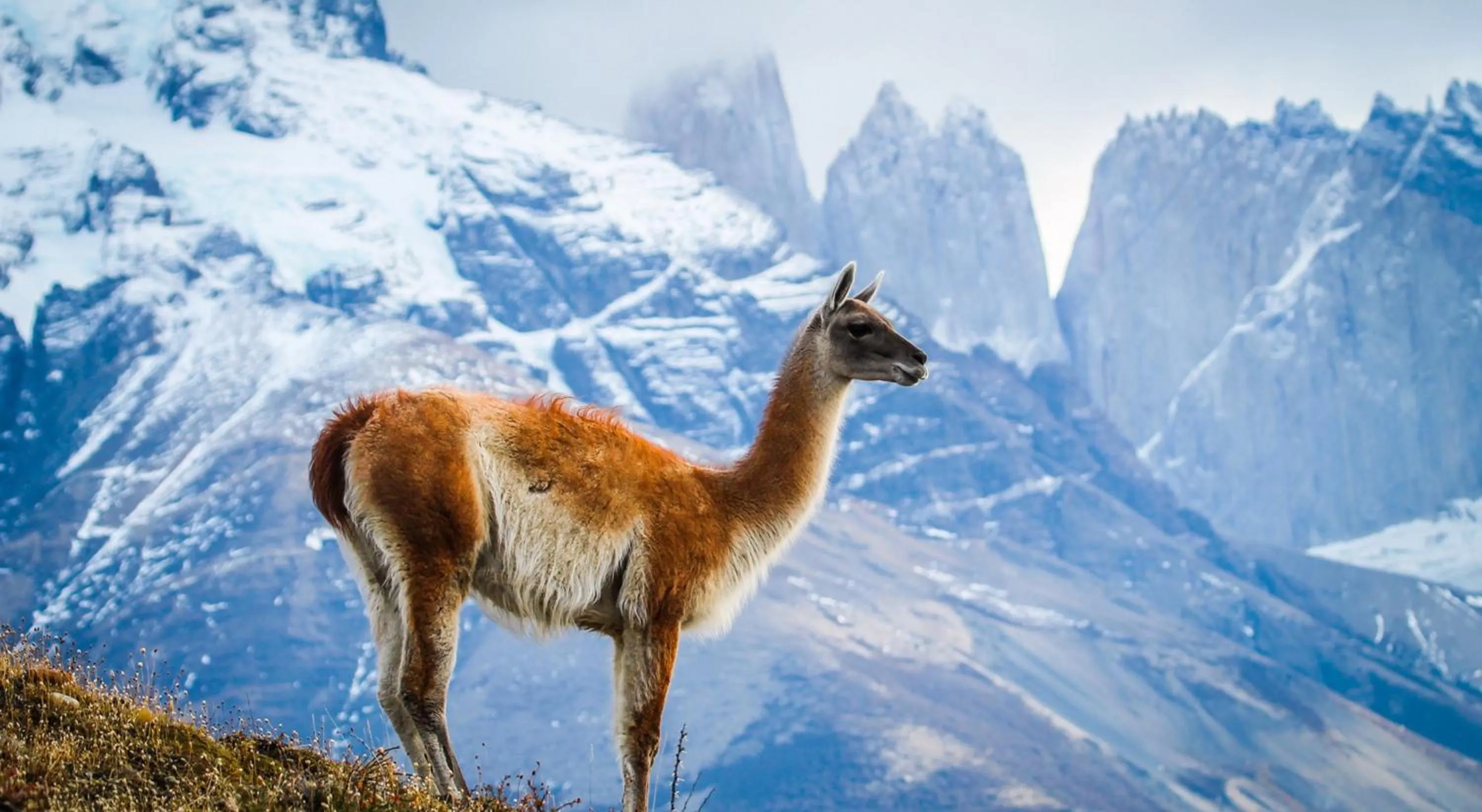 Natural landscape in Río Serrano Hotel + Spa