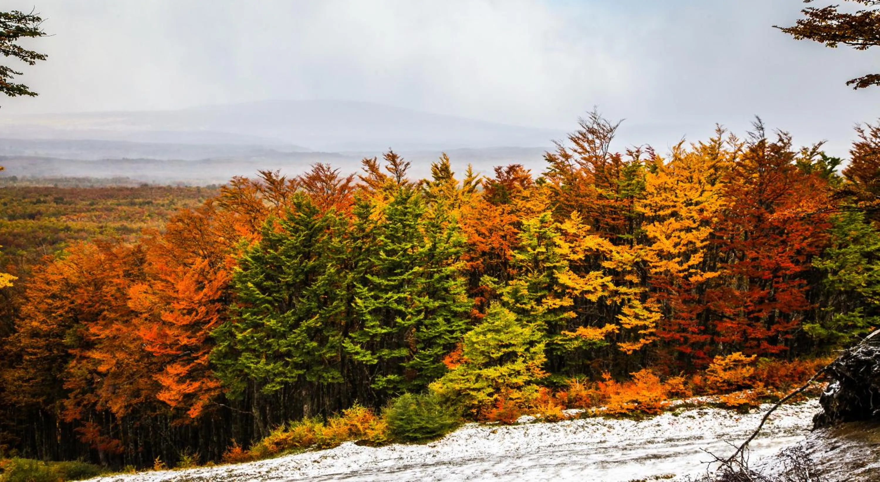 Natural landscape in Río Serrano Hotel + Spa