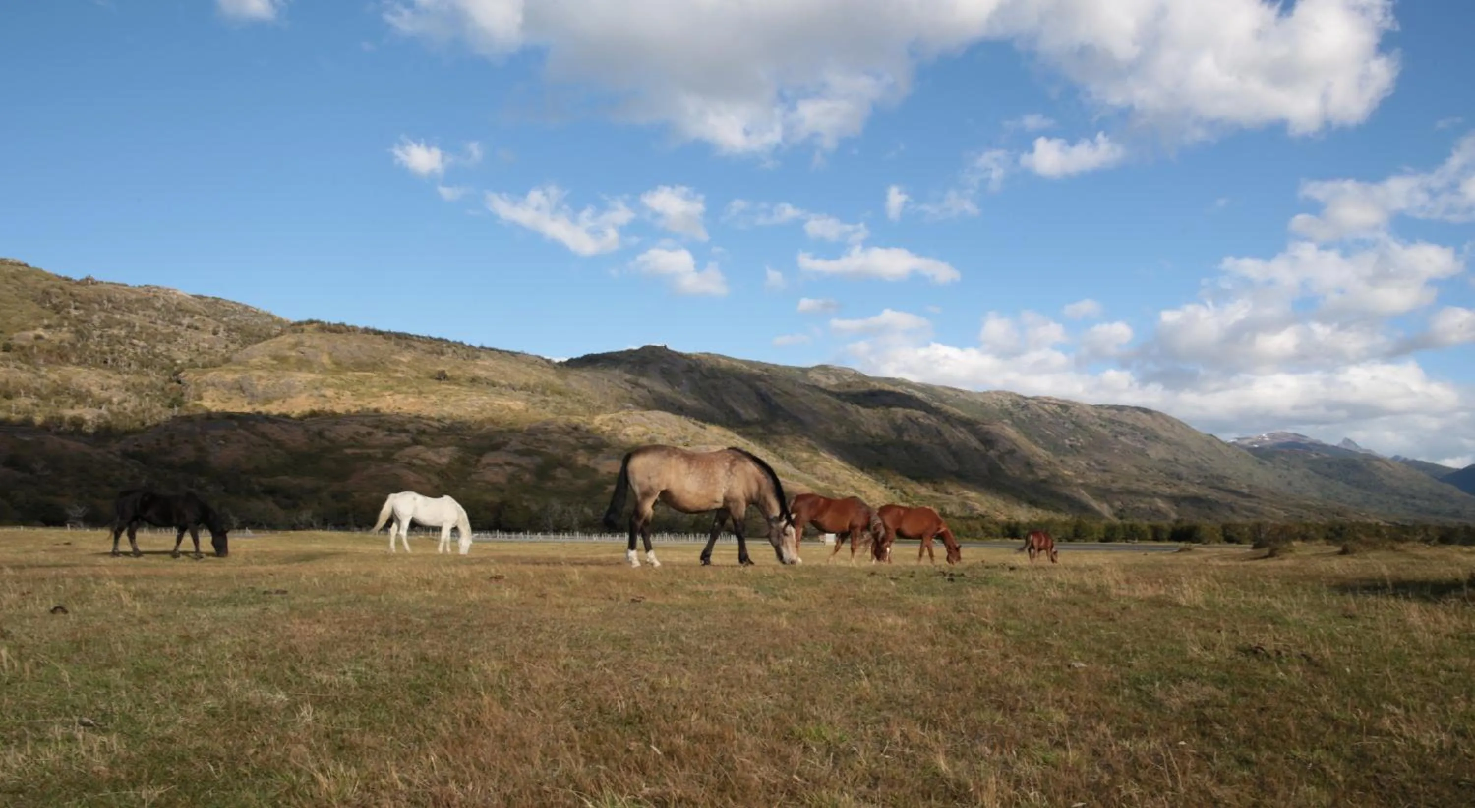 Natural landscape in Río Serrano Hotel + Spa