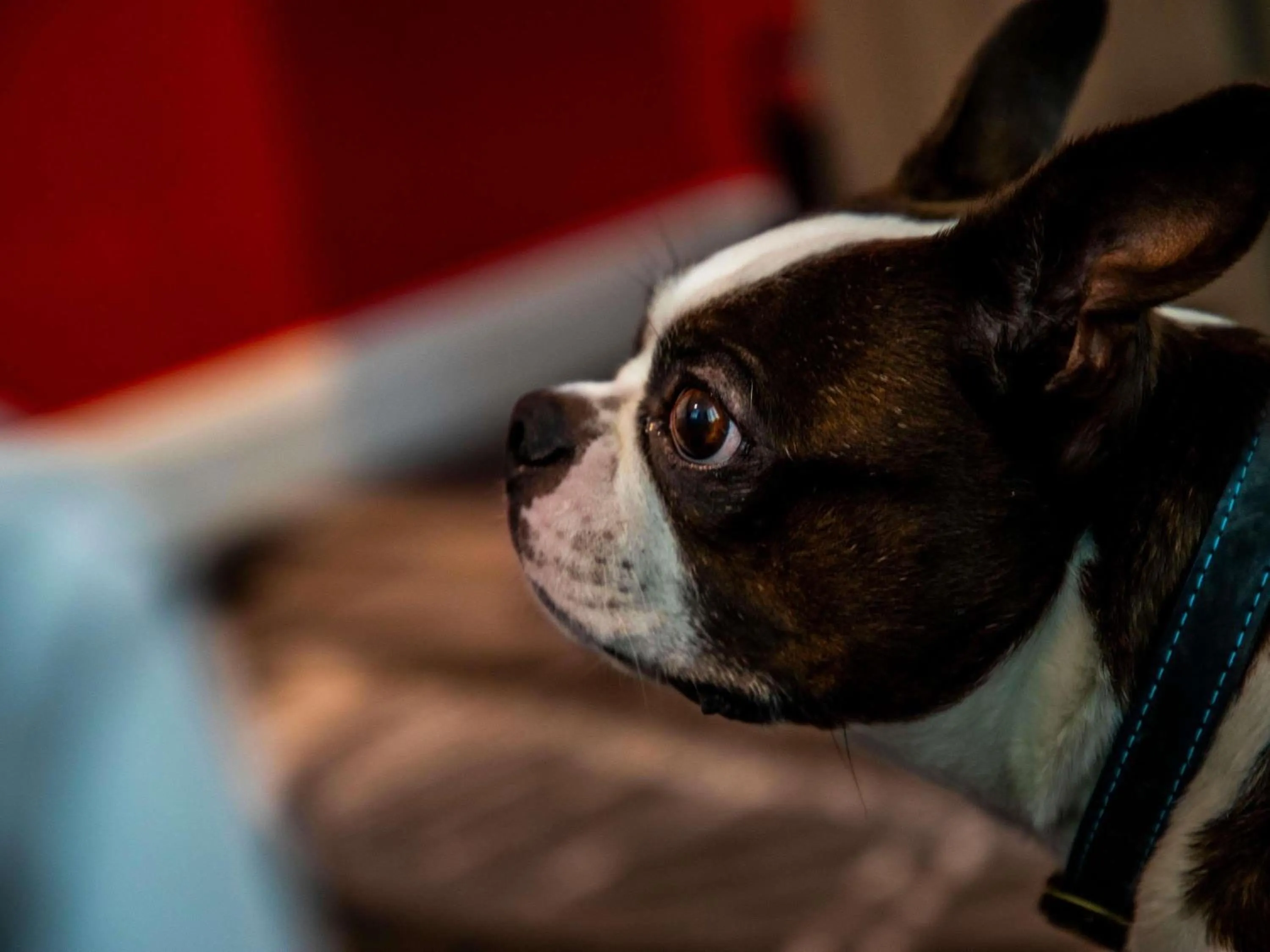Bedroom in ibis Styles Glasgow Central