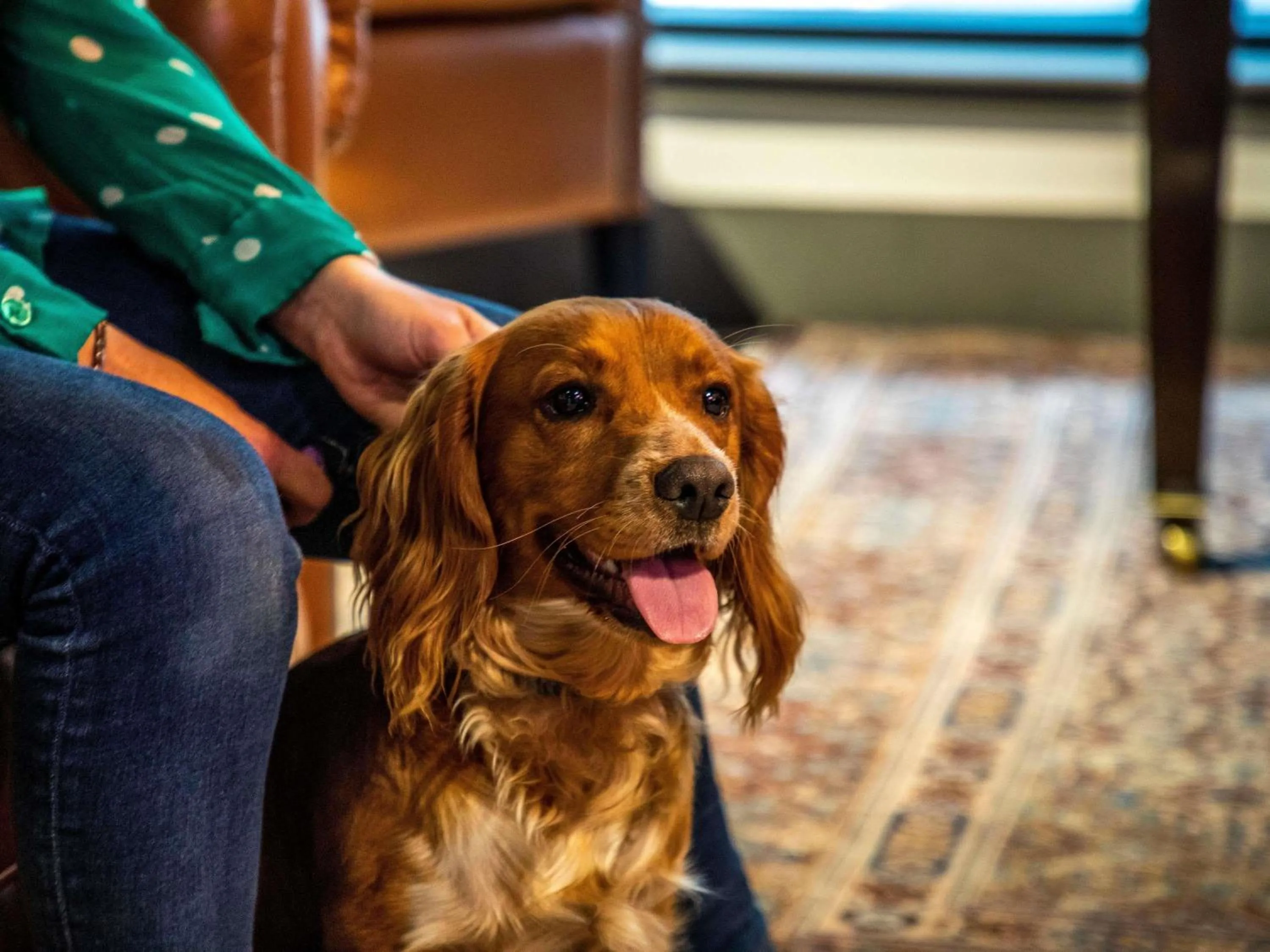 Property building in ibis Styles Glasgow Central