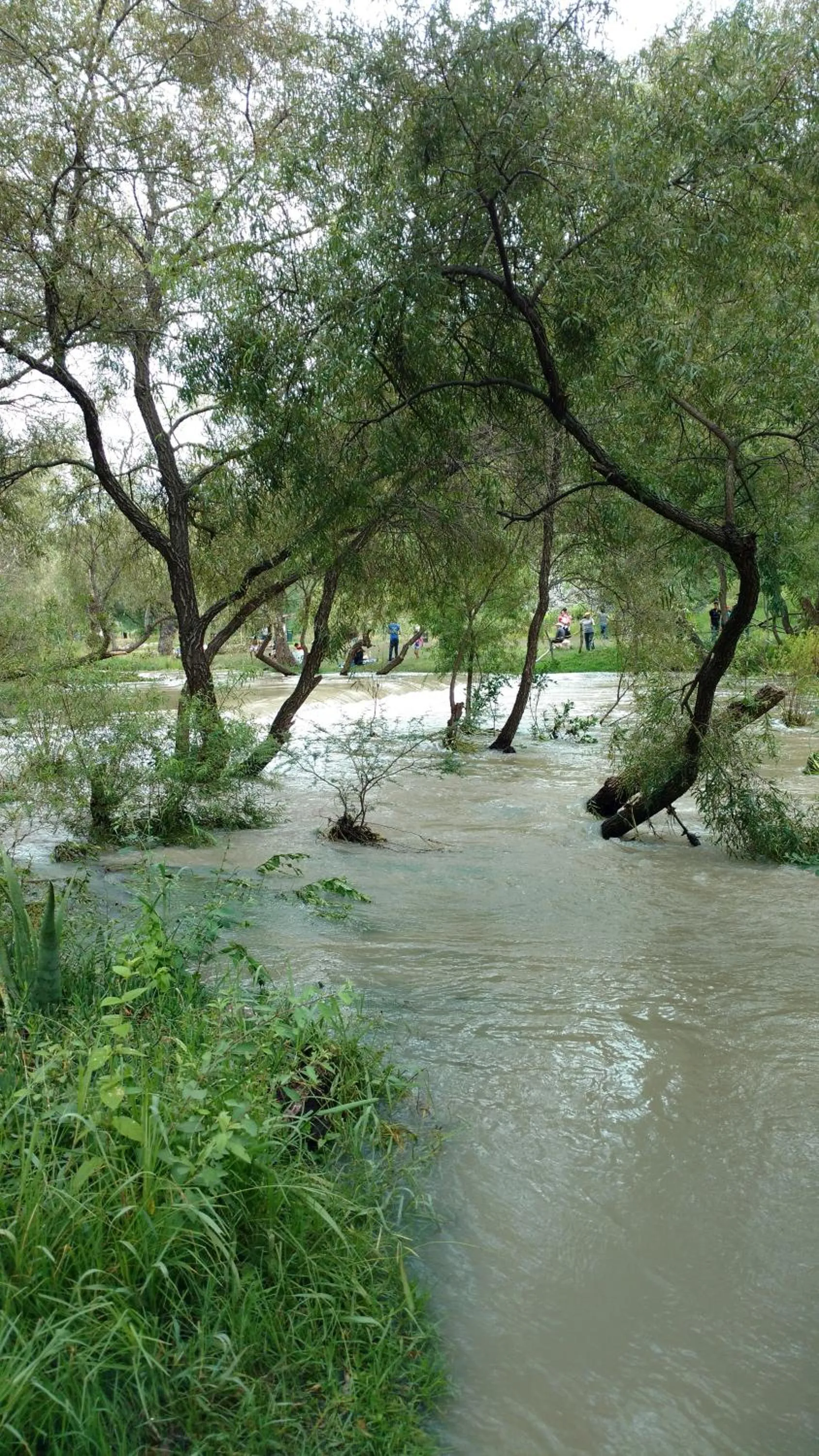 Natural landscape in Hotel Alcatraces