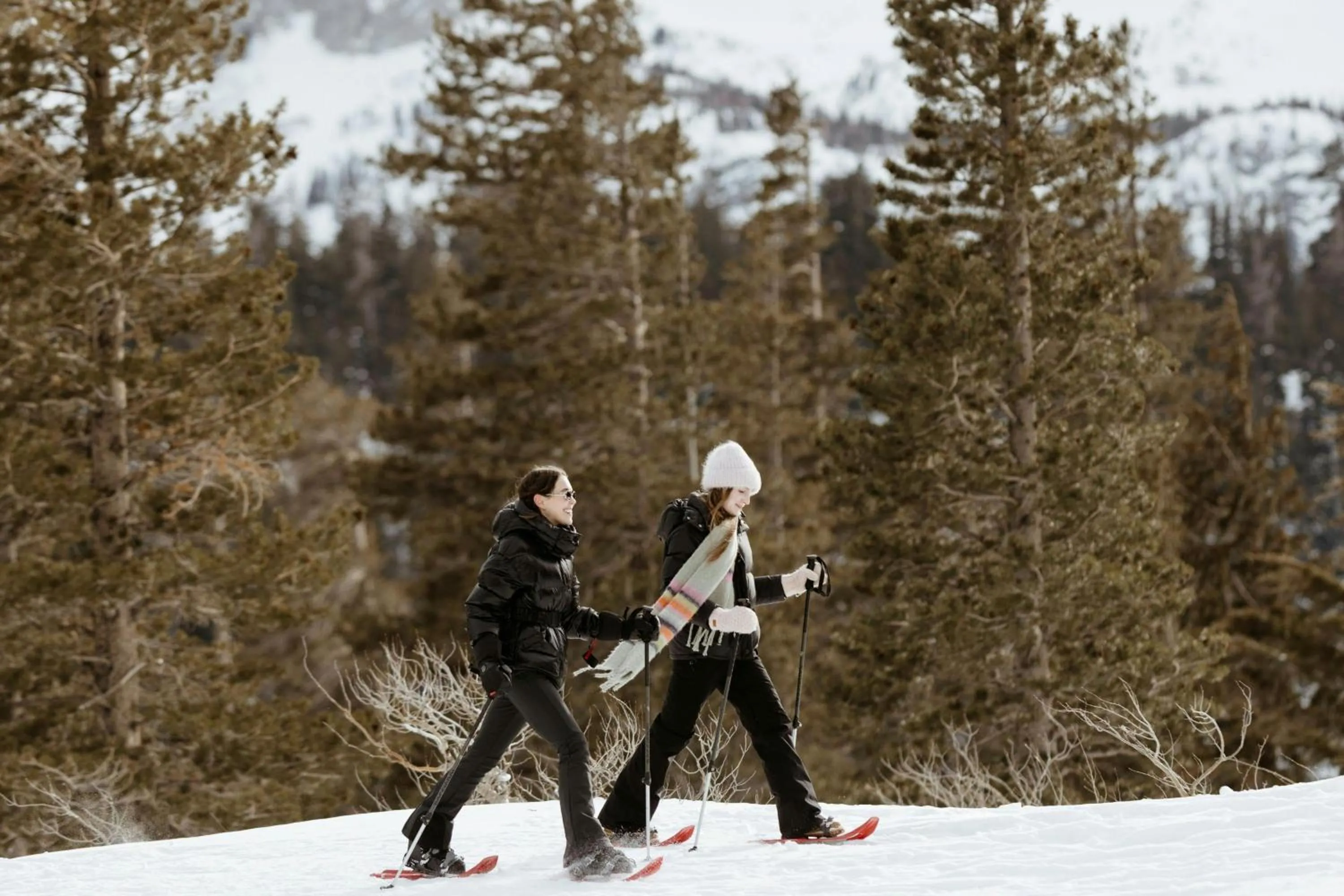 Other in The Westin Monache Resort, Mammoth