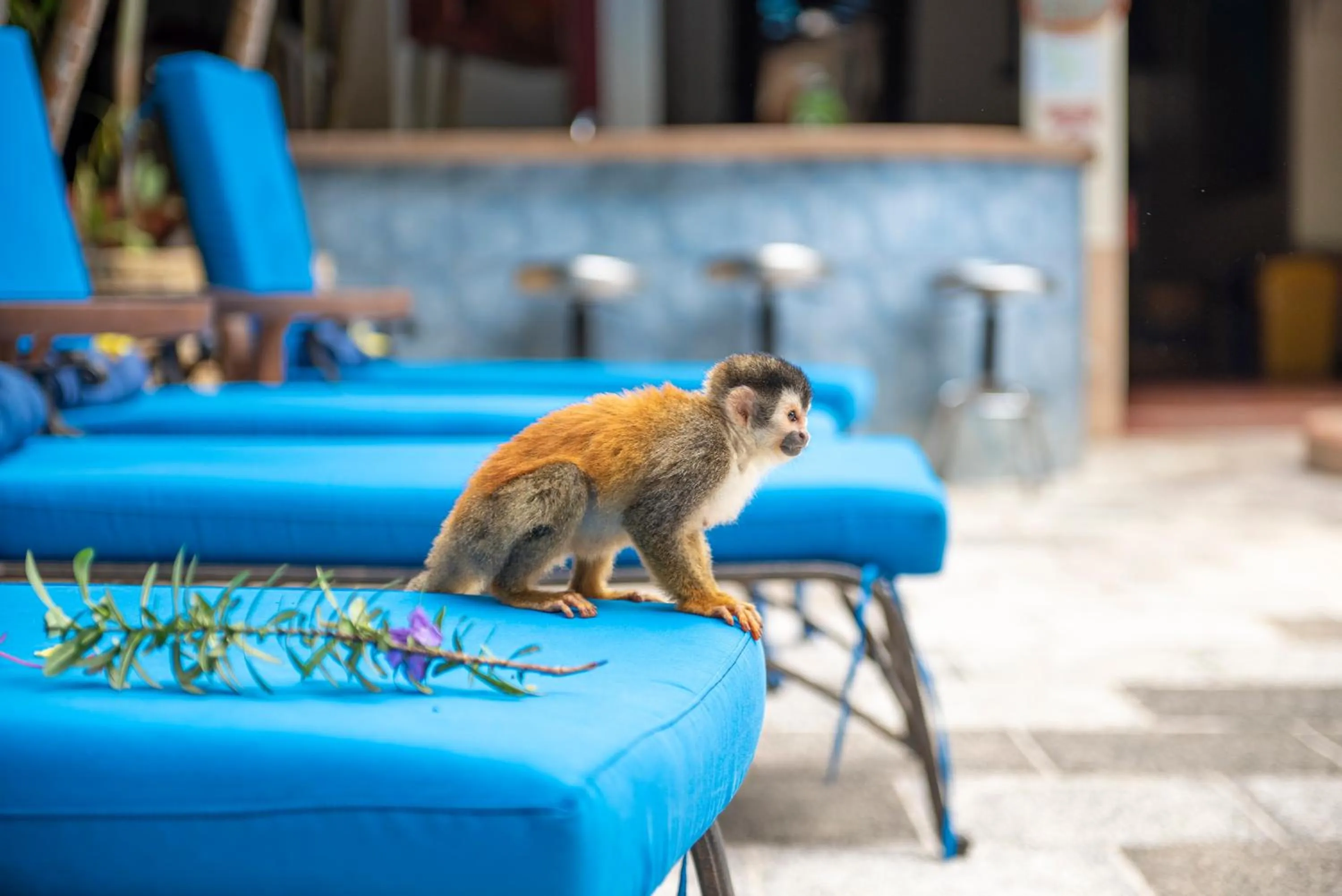 Decorative detail in Hotel Villas Lirio