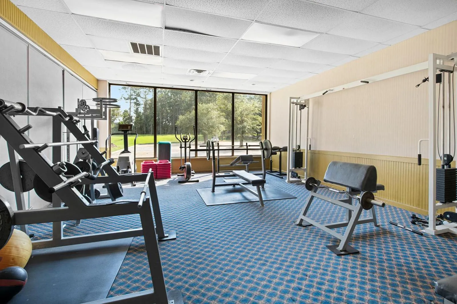 Fitness centre/facilities in Hotel Francis