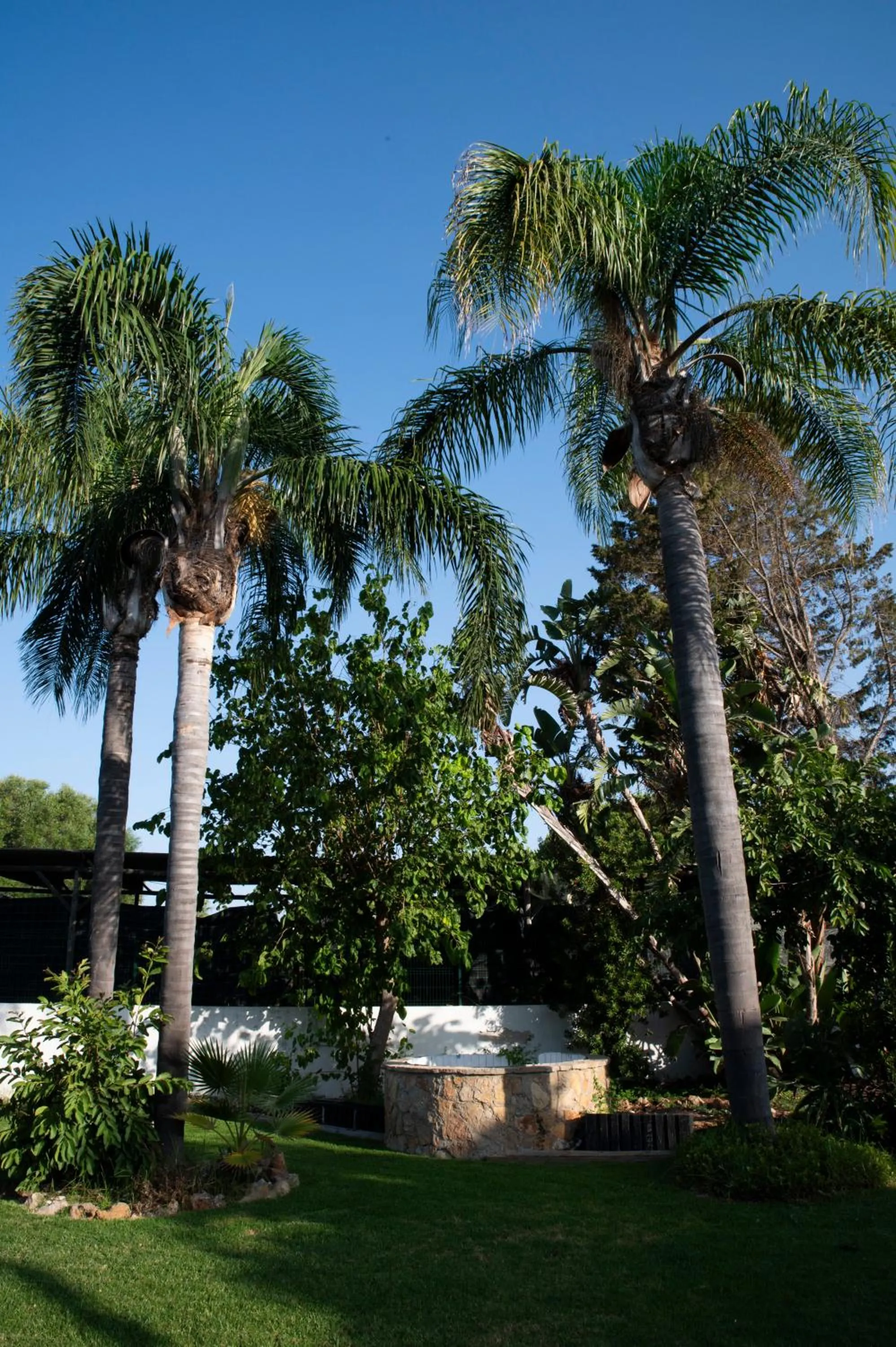 Garden in WOT Algarve Soul