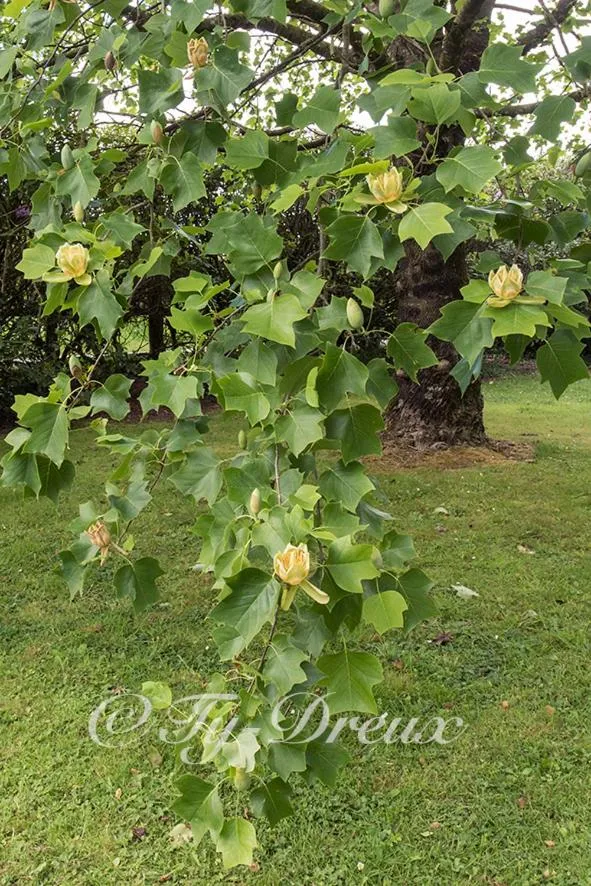 ty dreux entre terre et mer