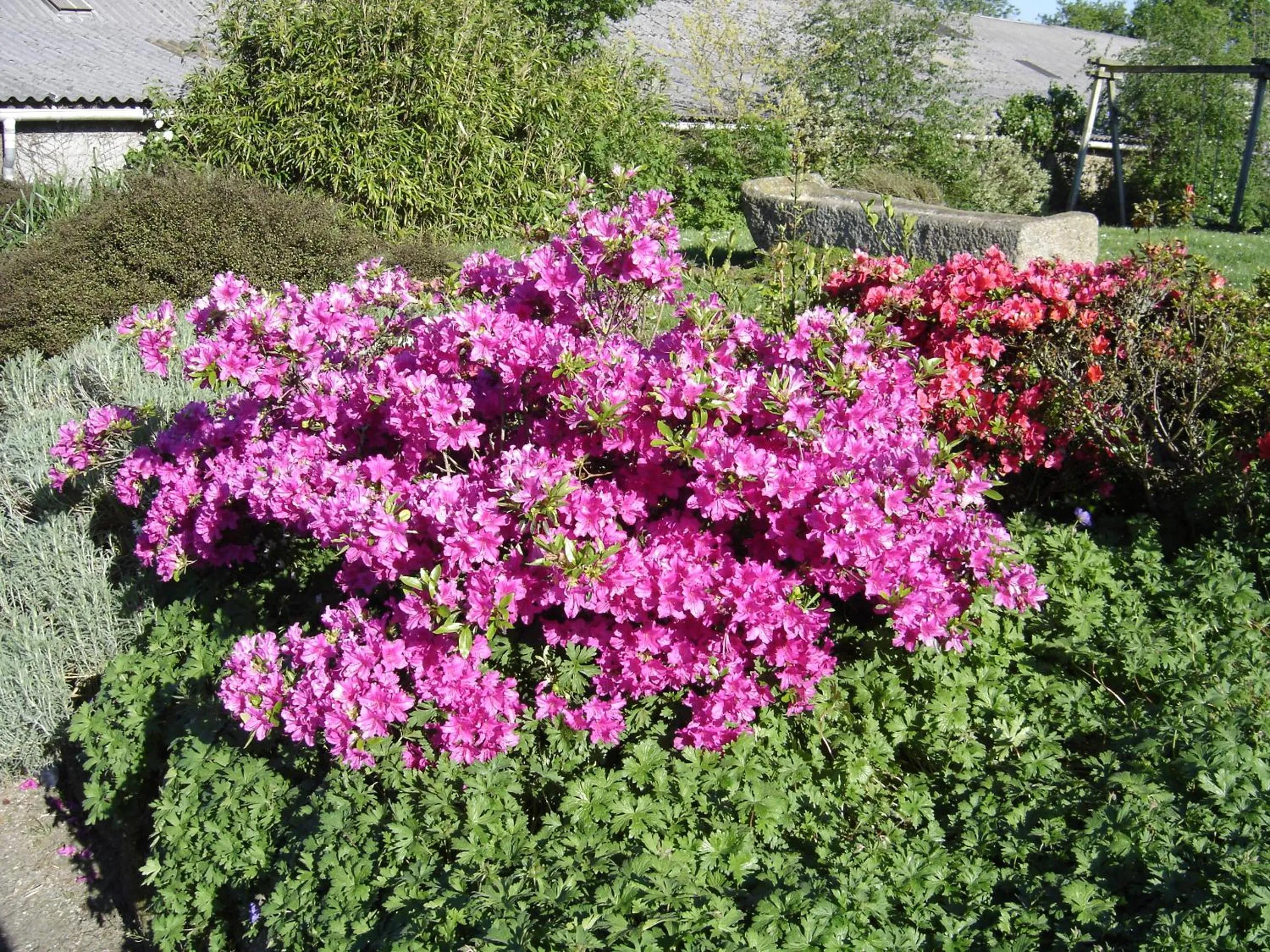 Garden view in ty dreux entre terre et mer