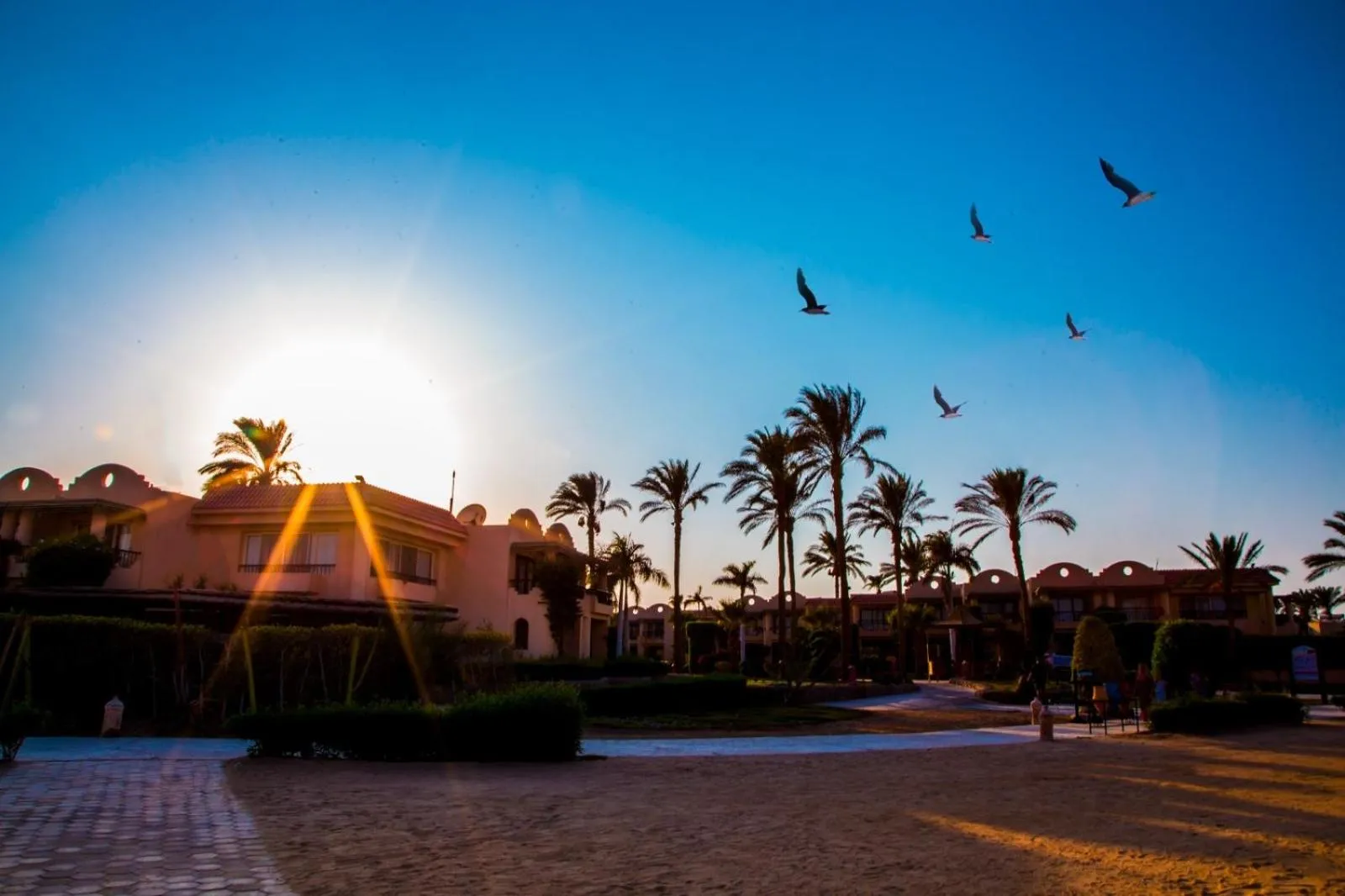 Sunset in Ali Baba Palace Resort