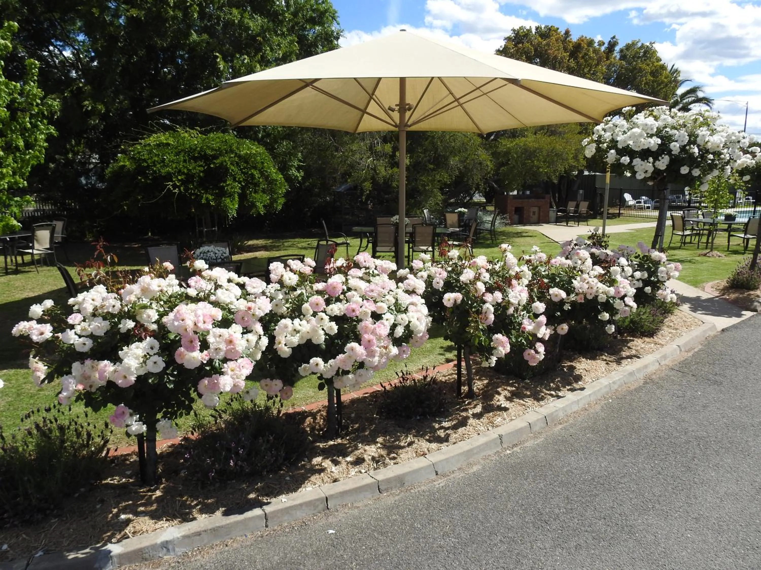 Wine Village Motor Inn