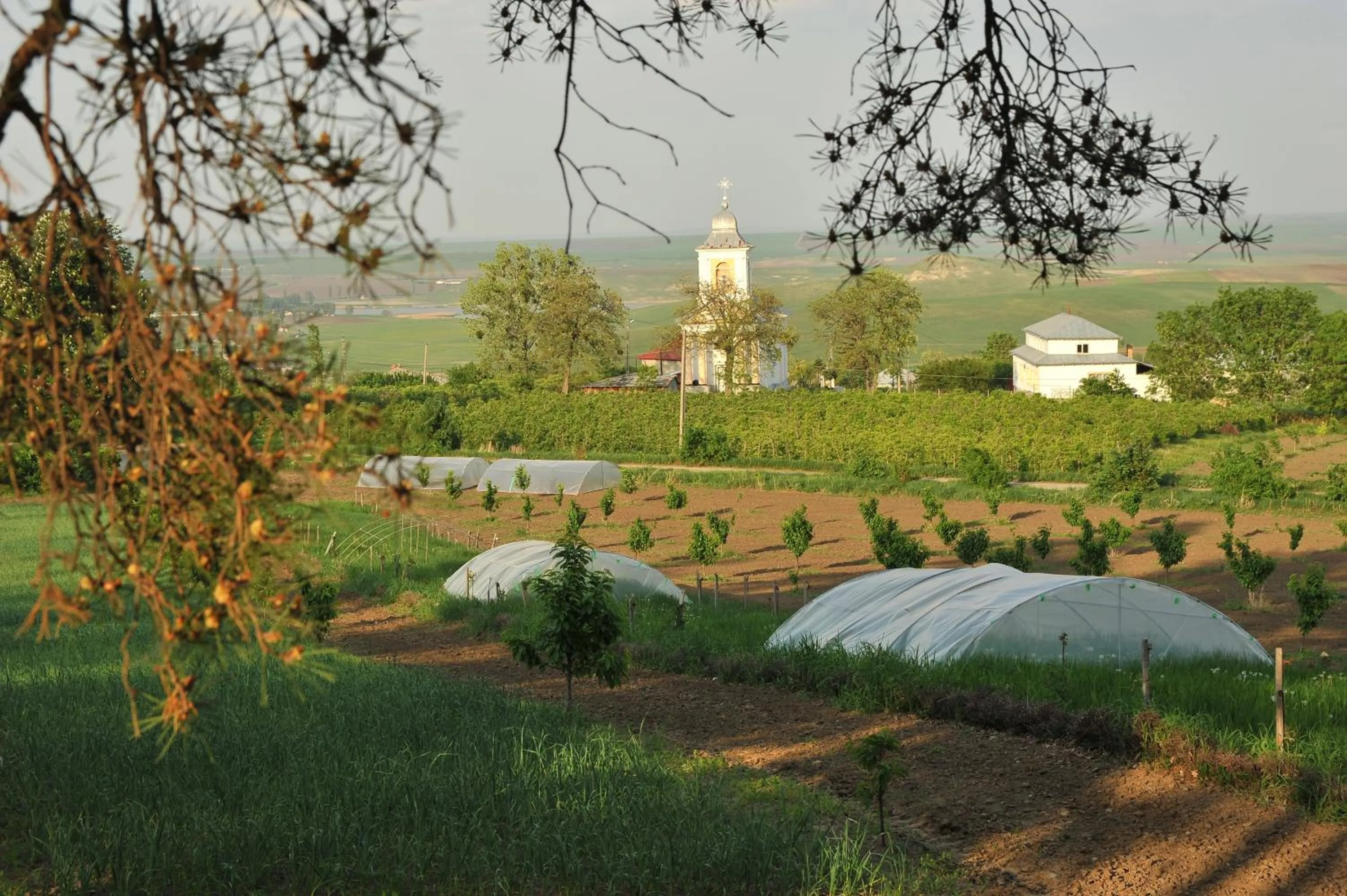 Natural landscape in Conac Polizu