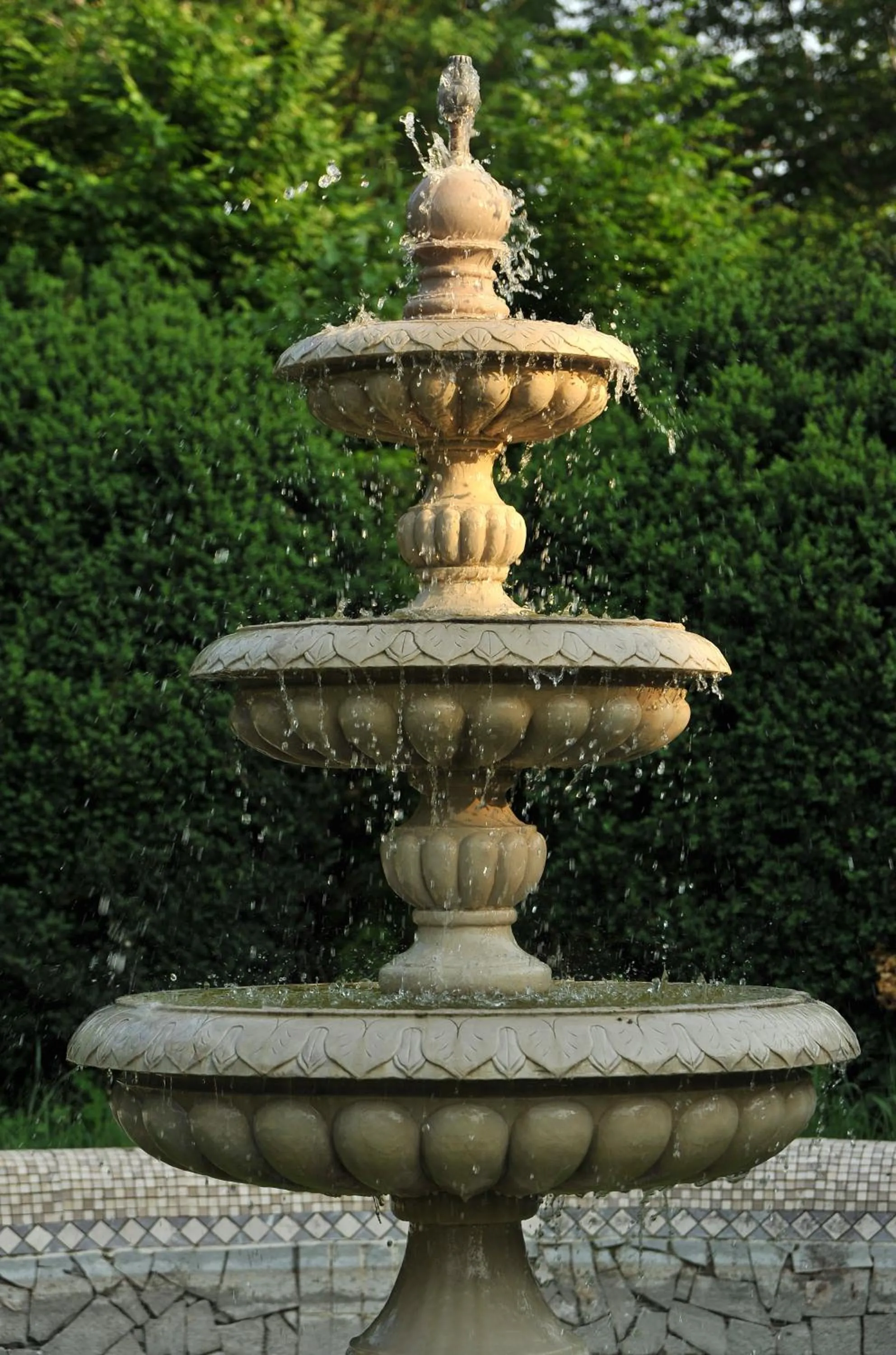 Garden in Conac Polizu