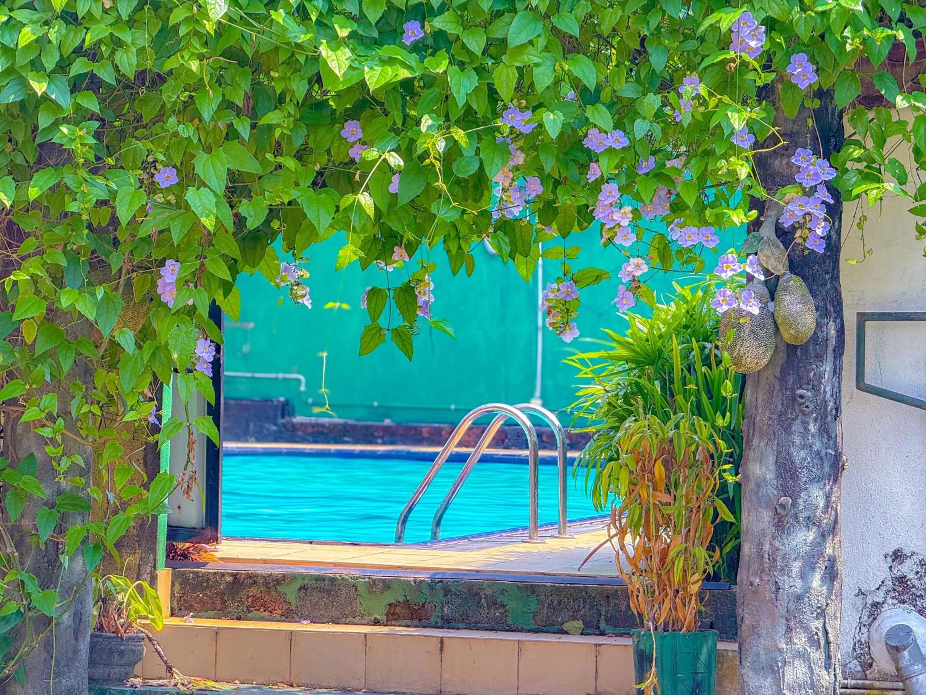Swimming pool in Airport Green View Hotel Katunayake