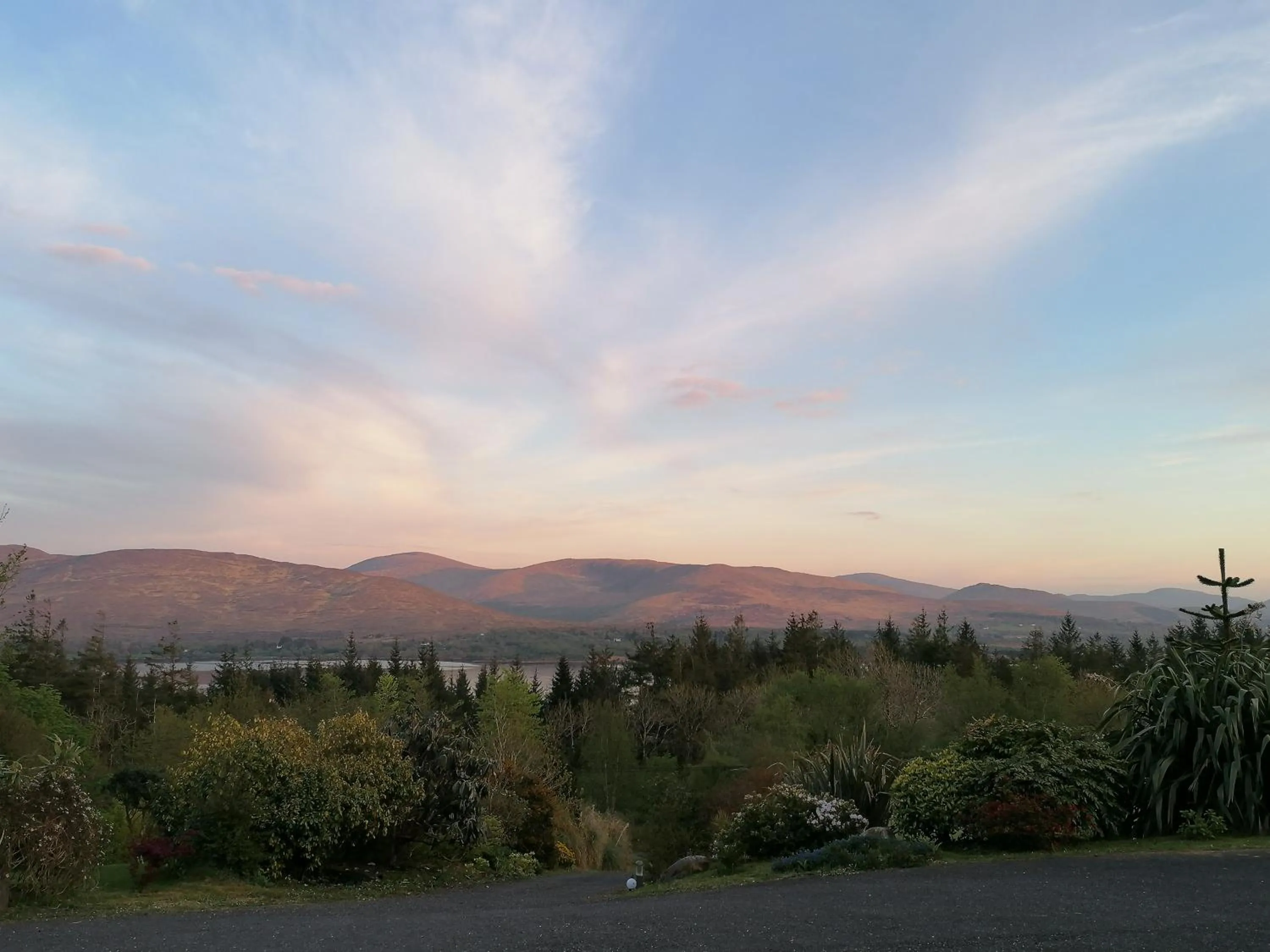 Garden view in Valhalla BnB