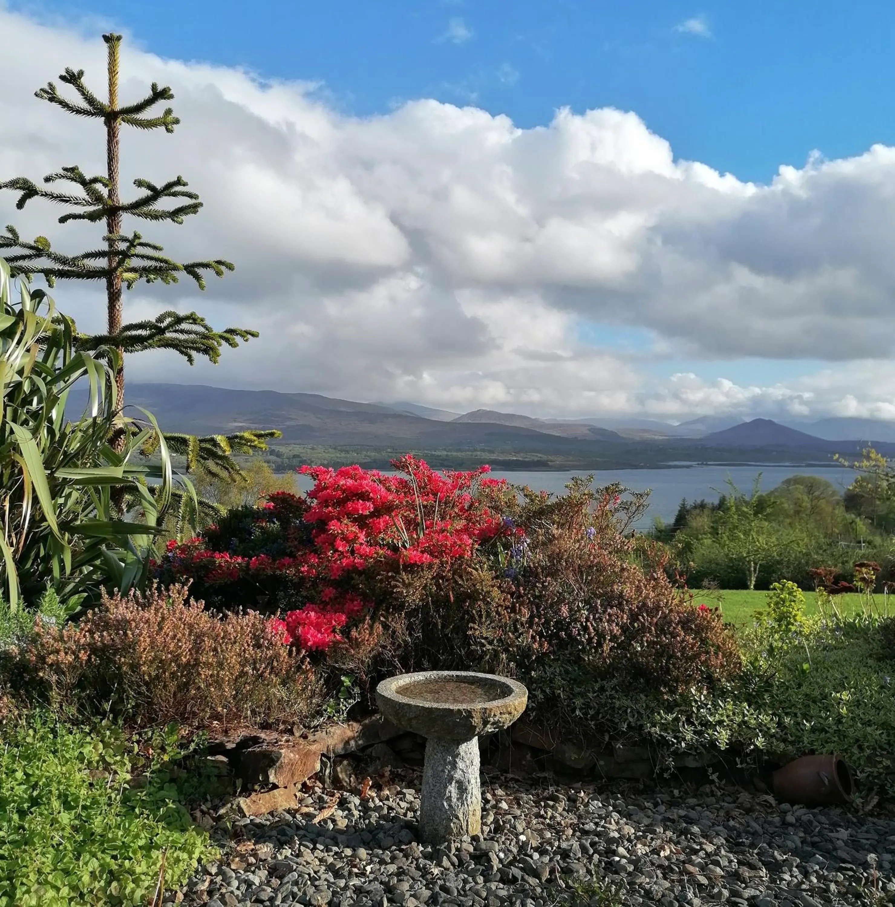 Garden in Valhalla BnB