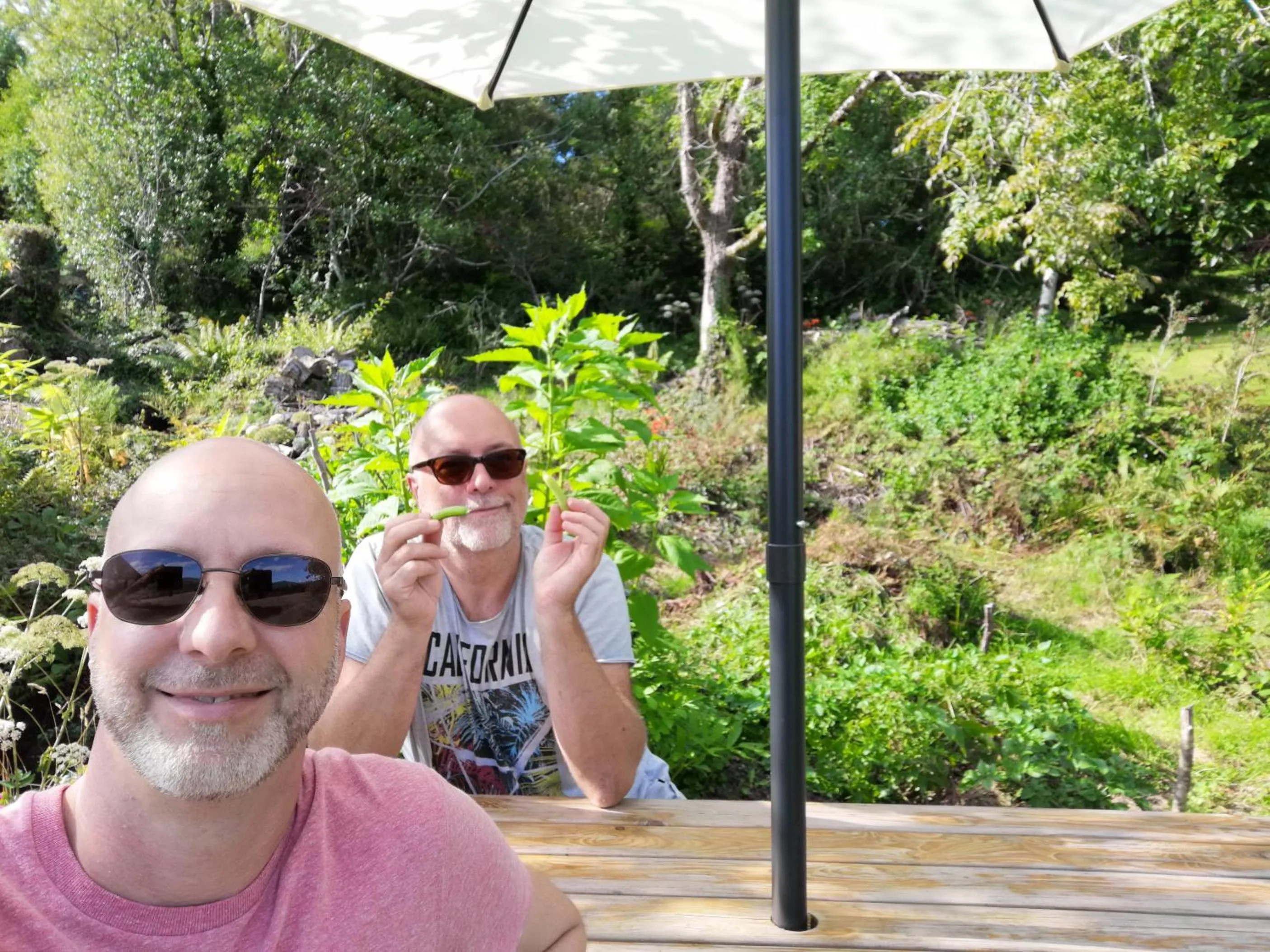 Staff in Valhalla BnB