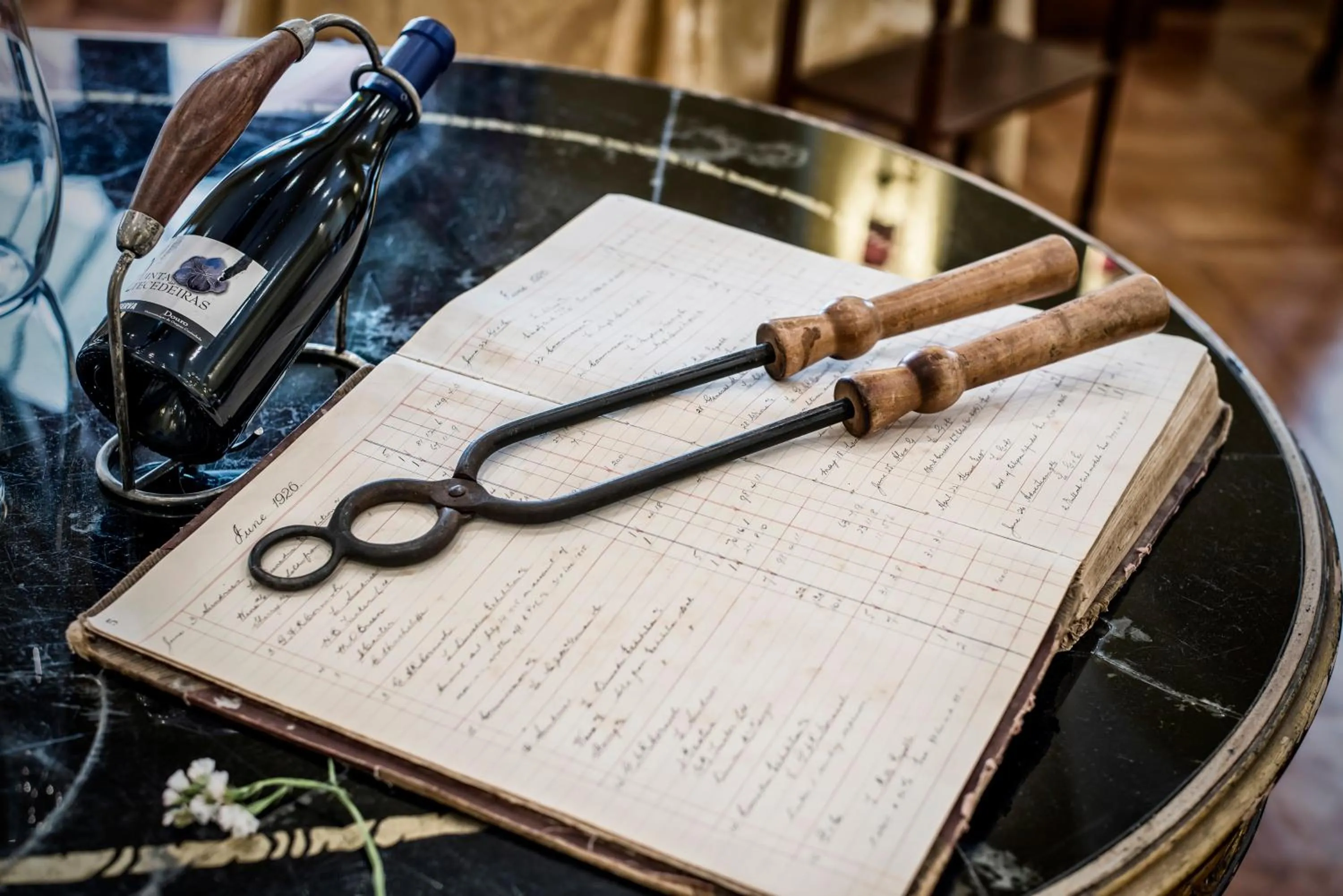 Entertainment in The Vintage House - Douro