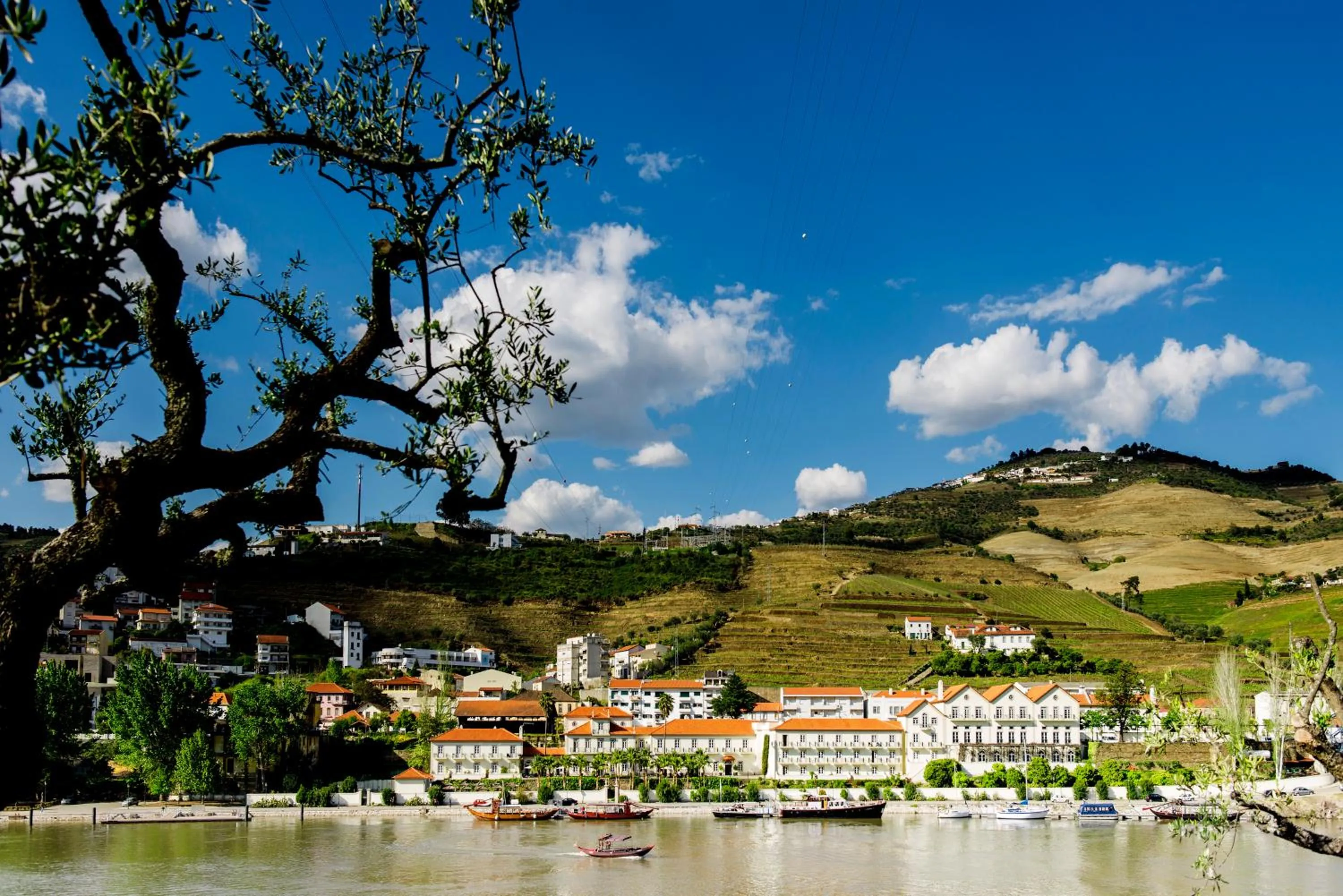 Facade/entrance in The Vintage House - Douro
