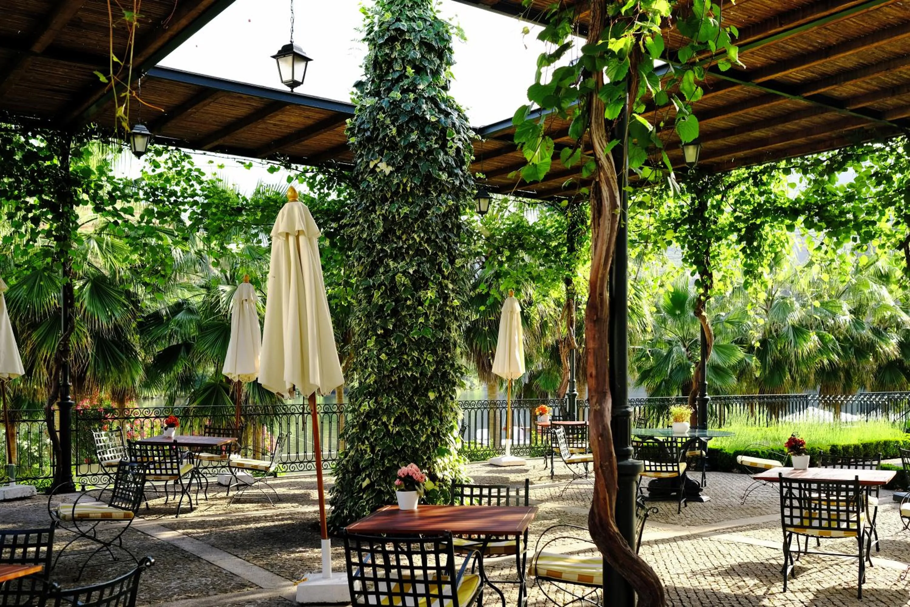 Patio in The Vintage House - Douro