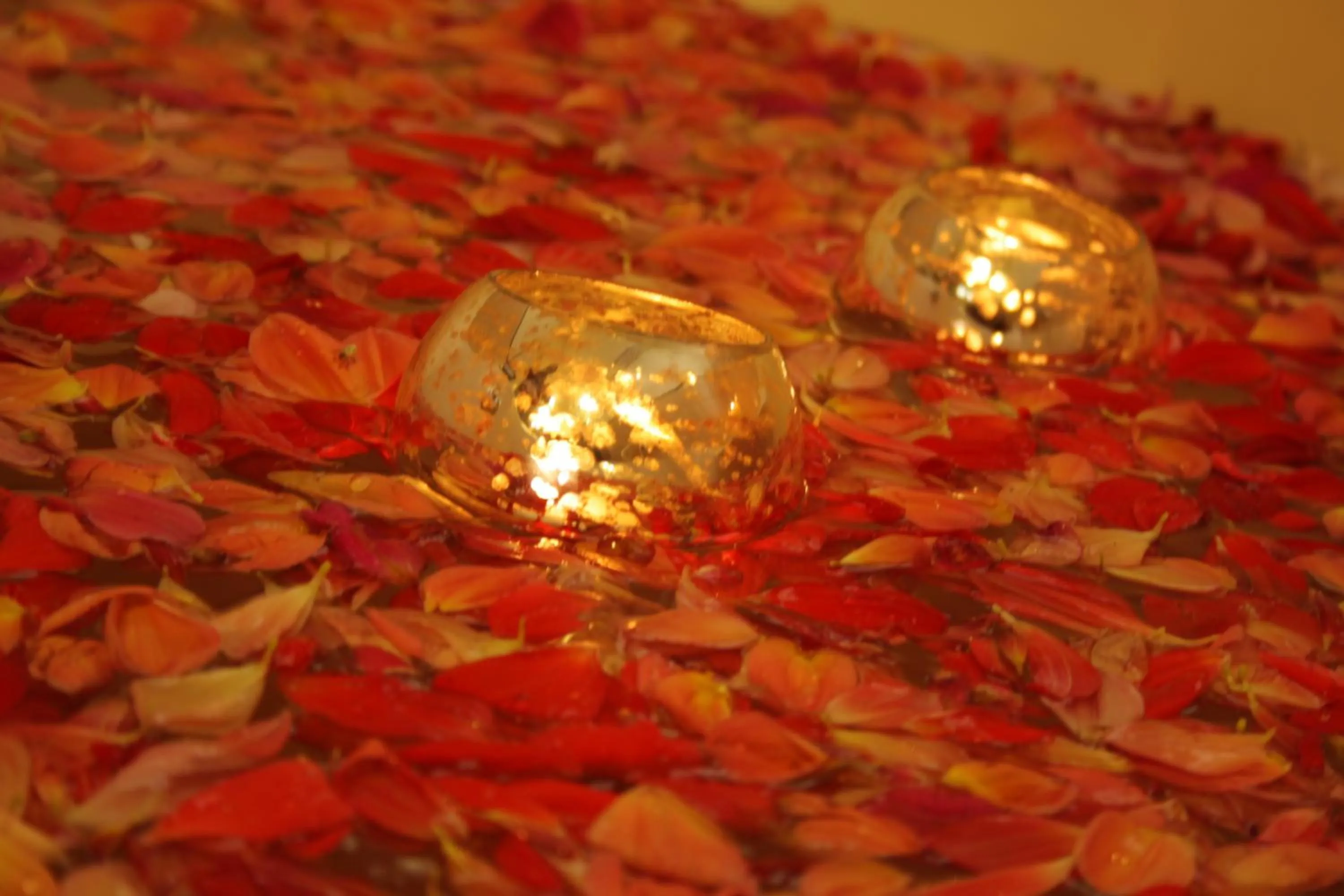 Decorative detail in Ayur County Resort