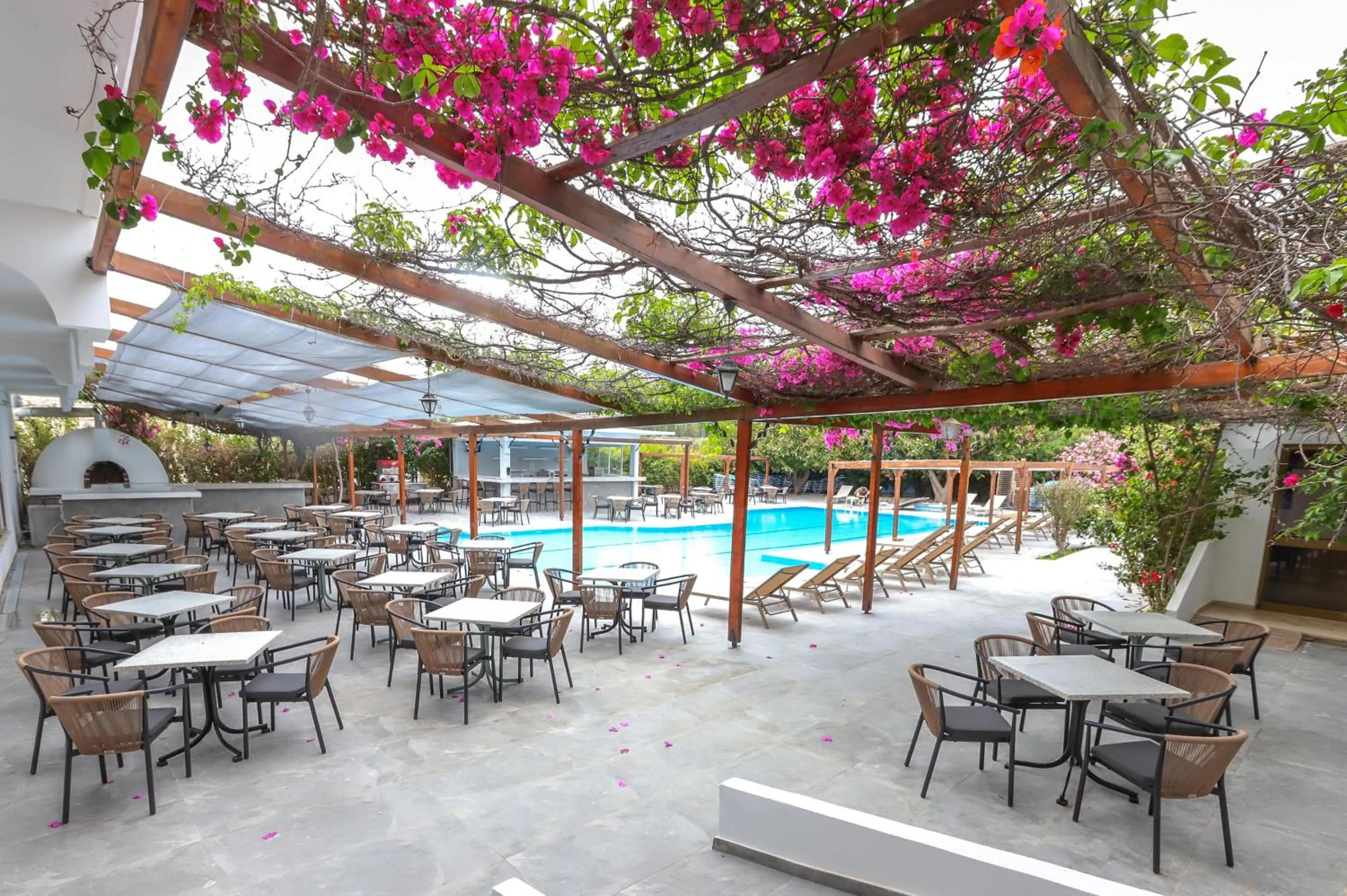 Balcony/Terrace in BELVITA Hotel