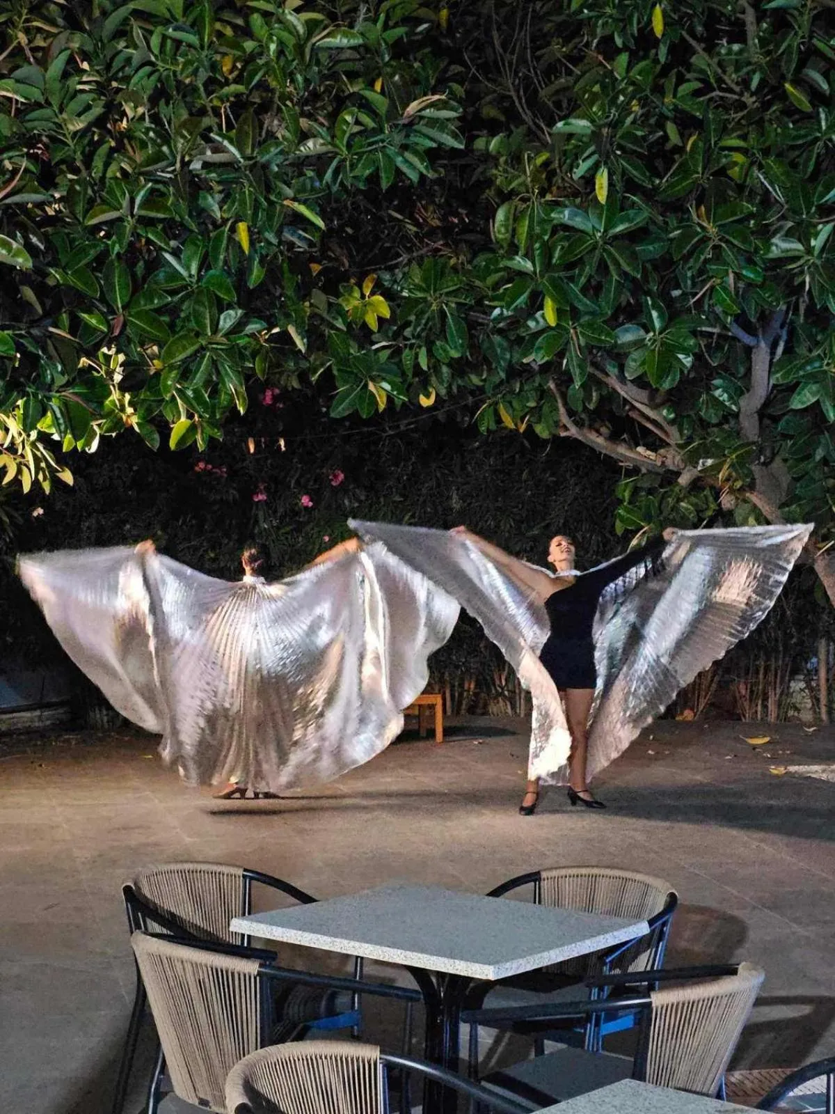 Nightclub / DJ in BELVITA Hotel