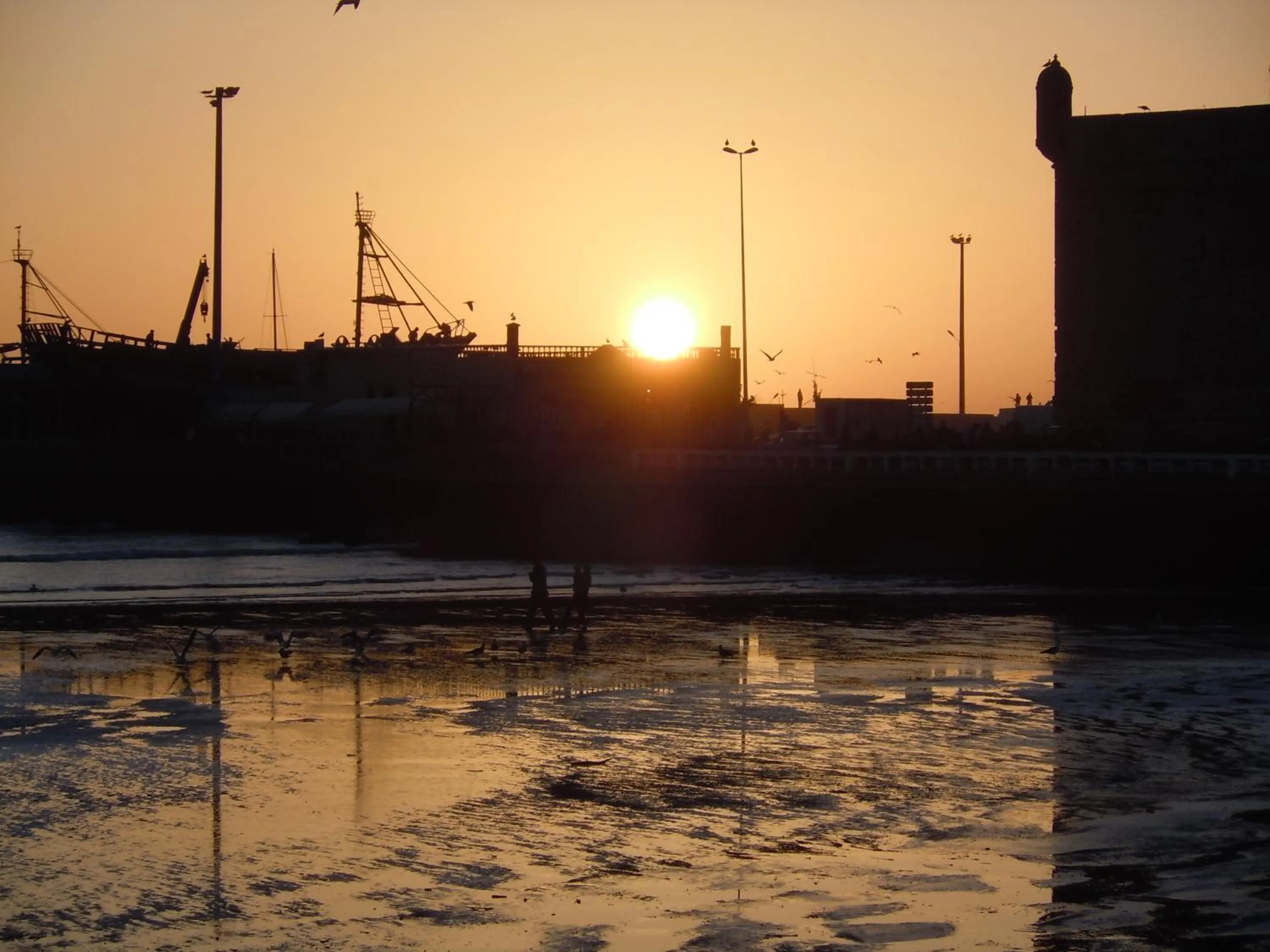 Other in Riad Emotion