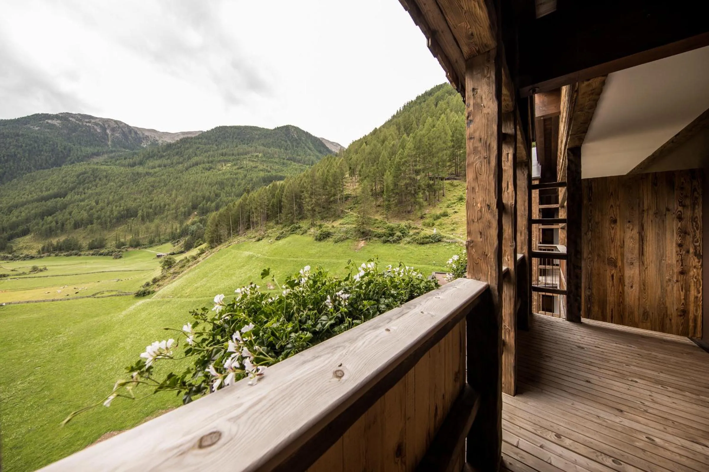 View (from property/room) in Tonzhaus Hotel