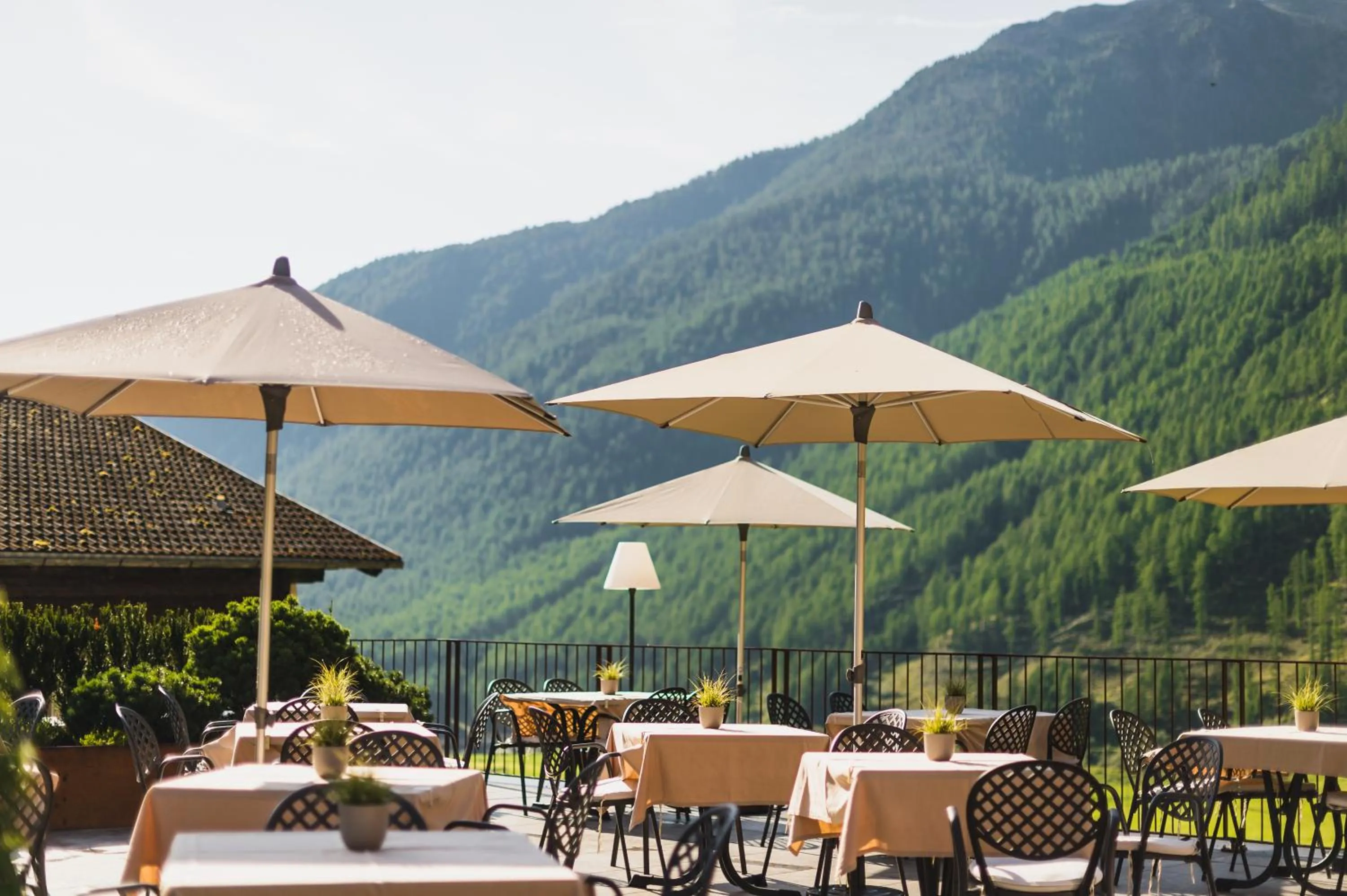 Balcony/Terrace in Tonzhaus Hotel