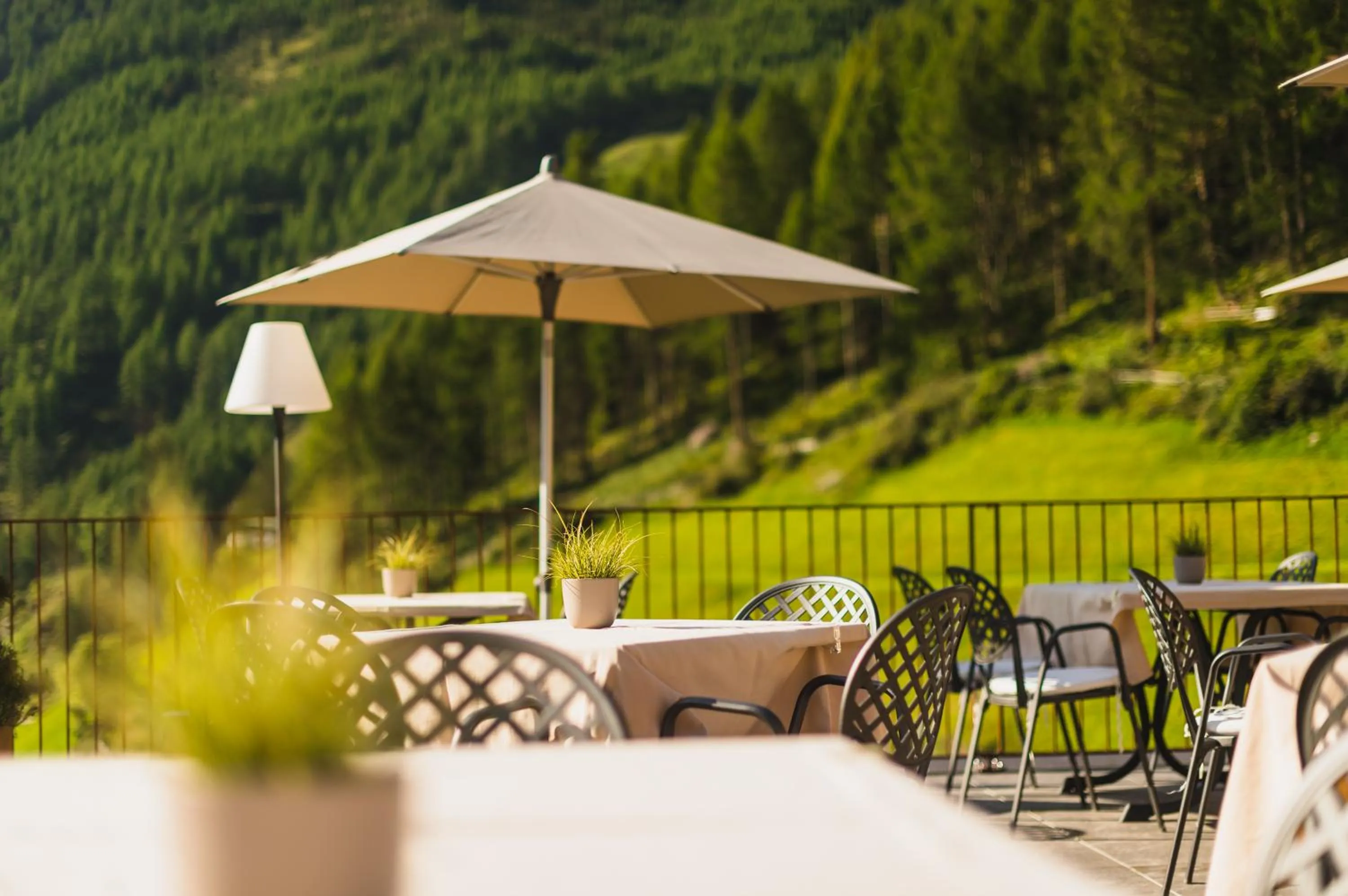 Balcony/Terrace in Tonzhaus Hotel