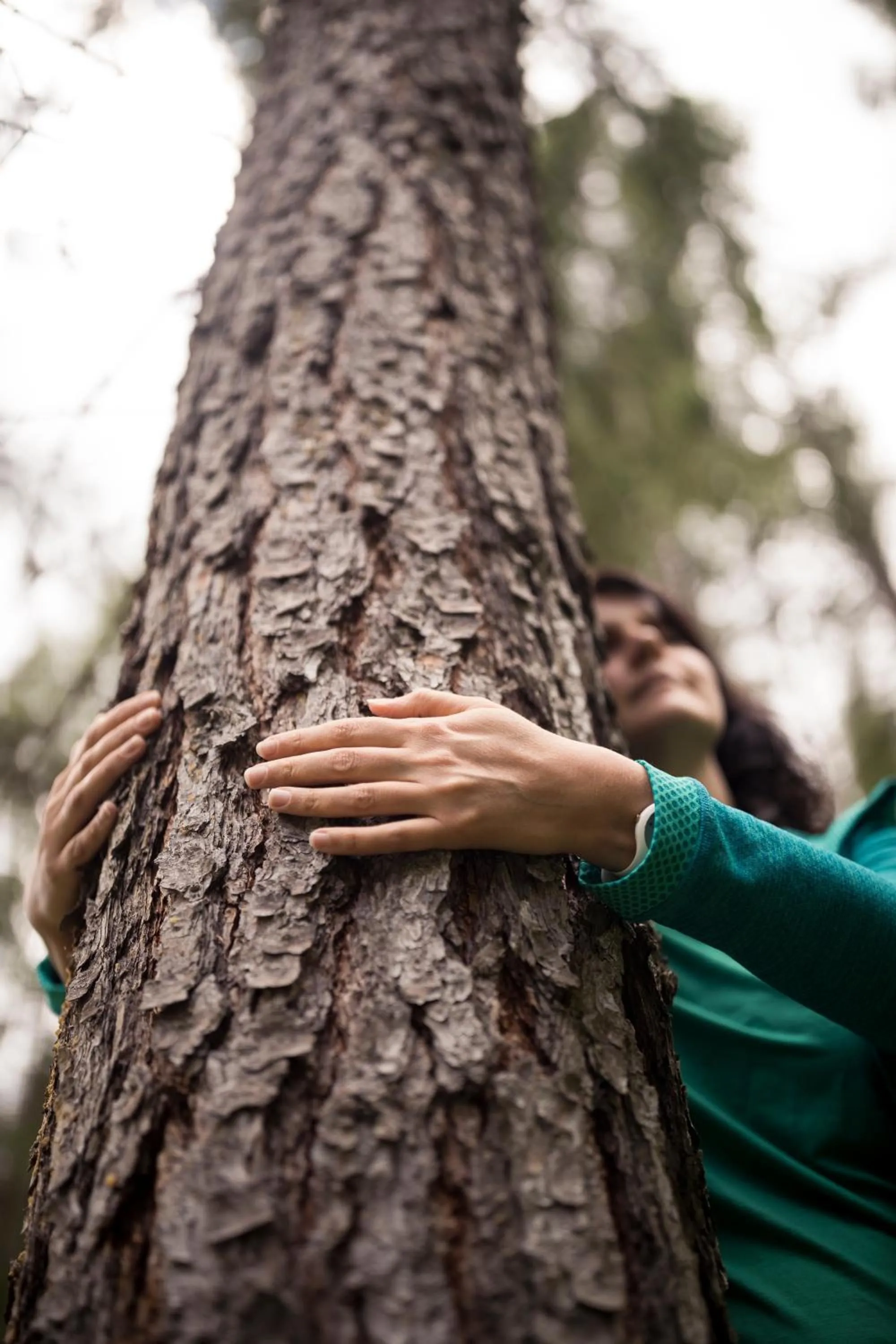 Hiking in Tonzhaus Hotel
