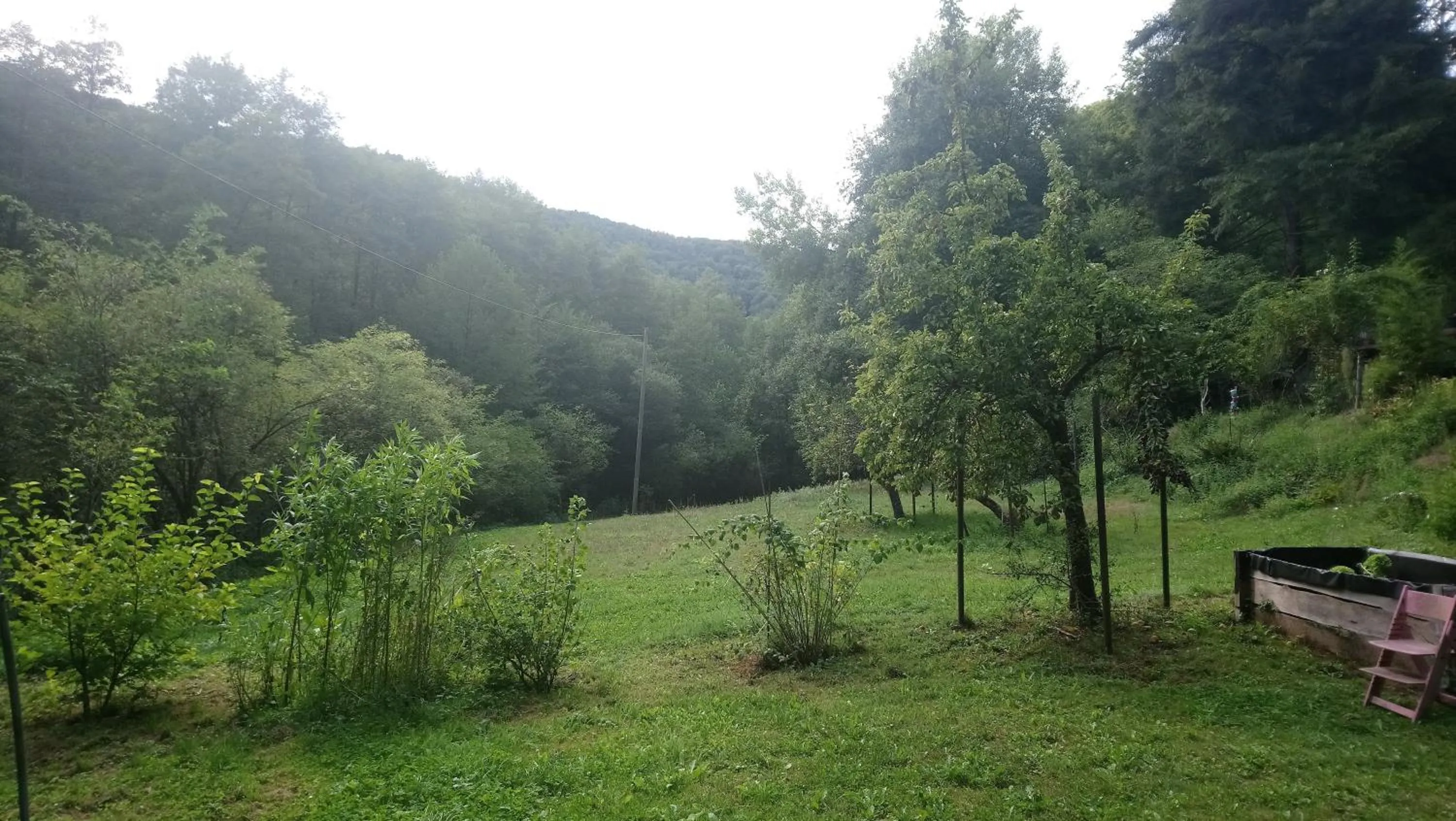 Animals in Haus 3 Birken