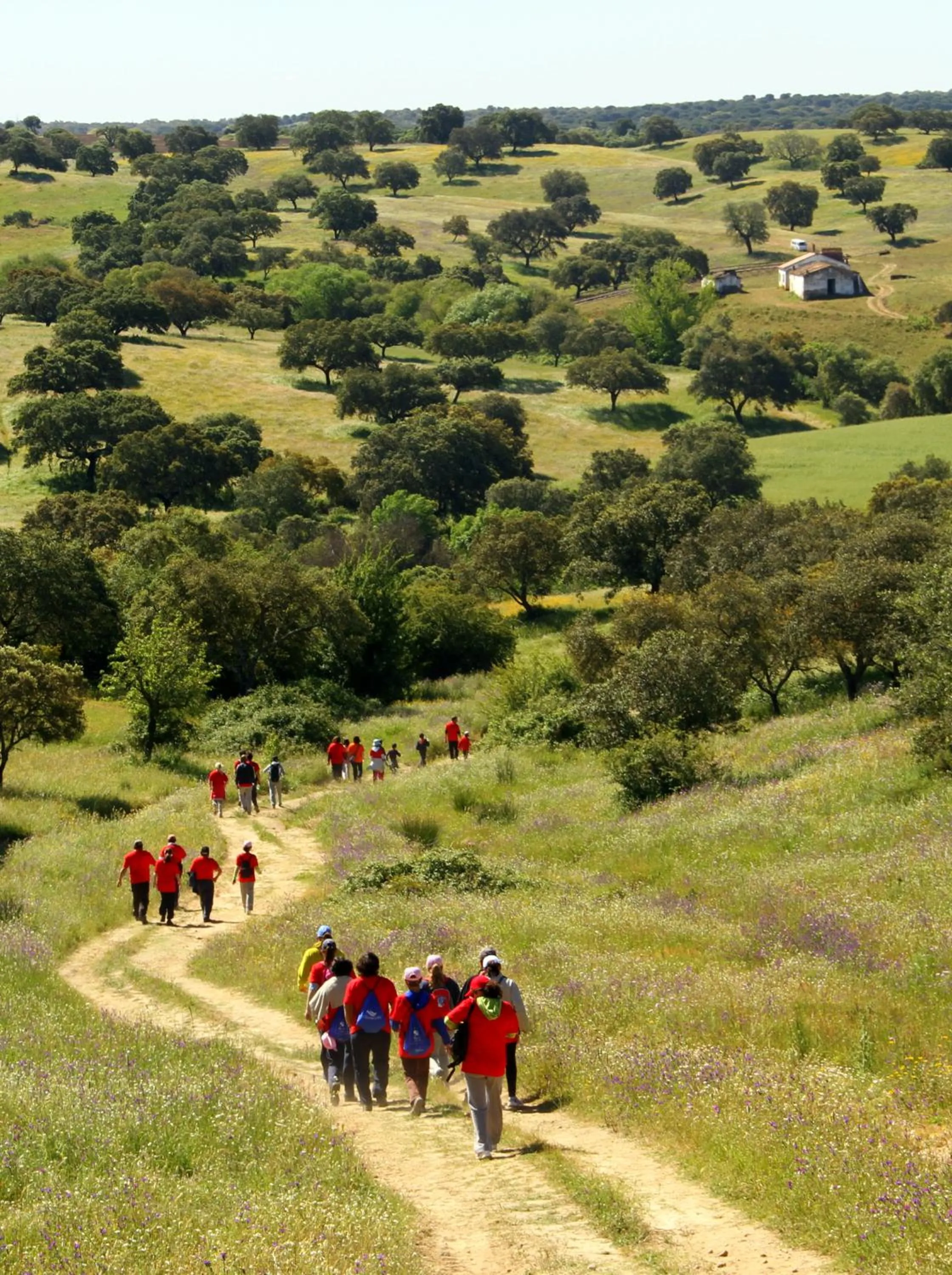 Hiking in Hotel O Gato - Edificio Standard