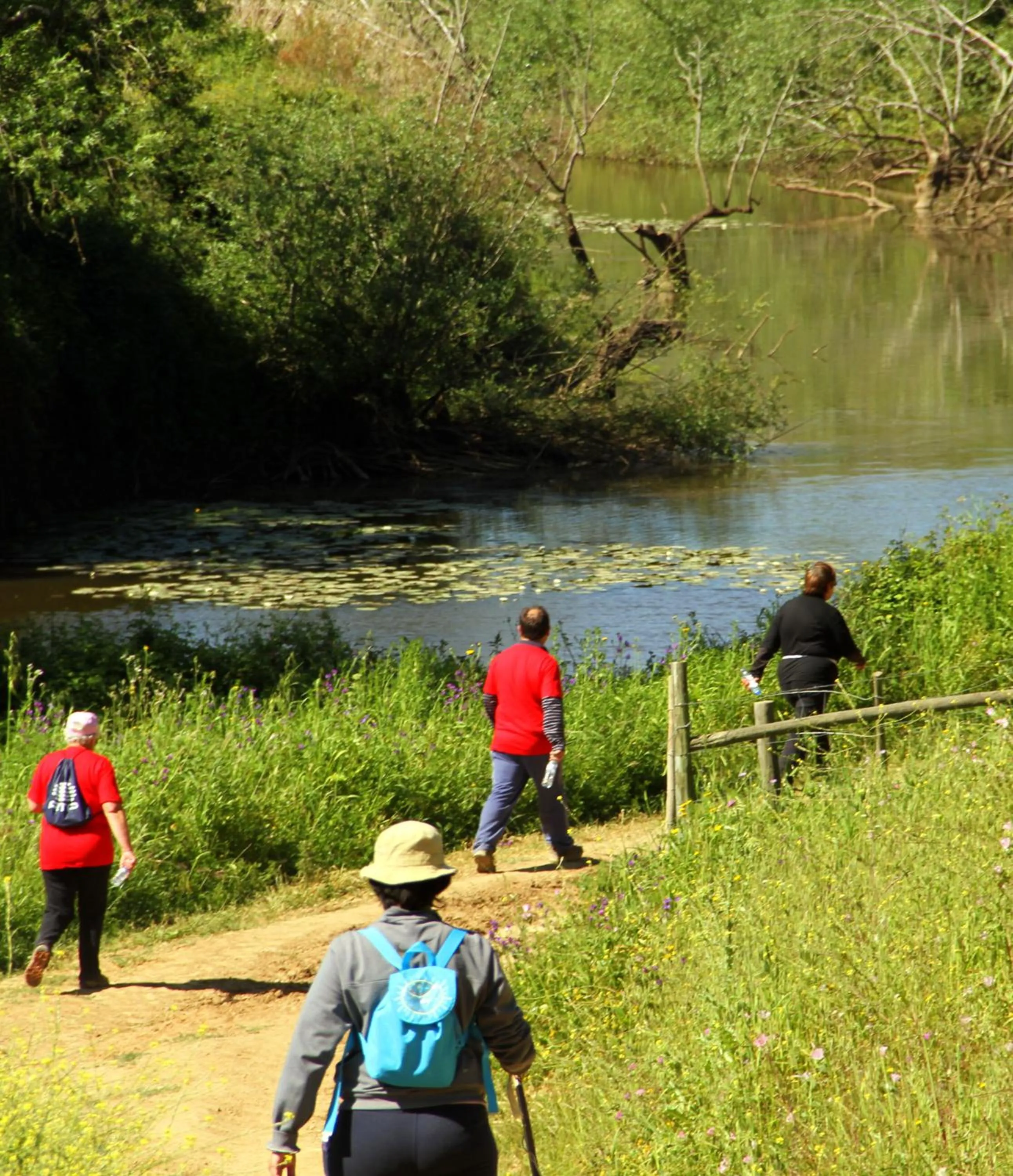 Hiking in Hotel O Gato - Edificio Standard