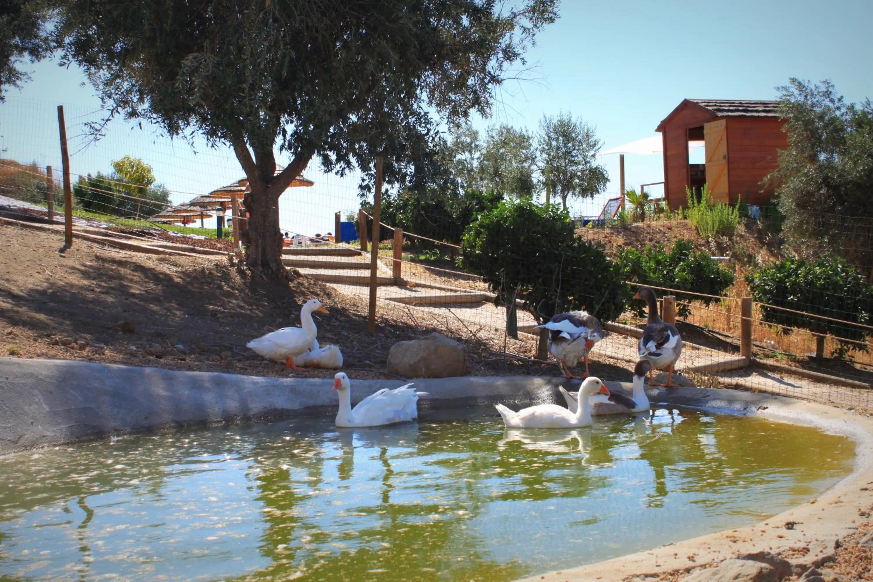 Activities in Hotel O Gato - Edificio Standard