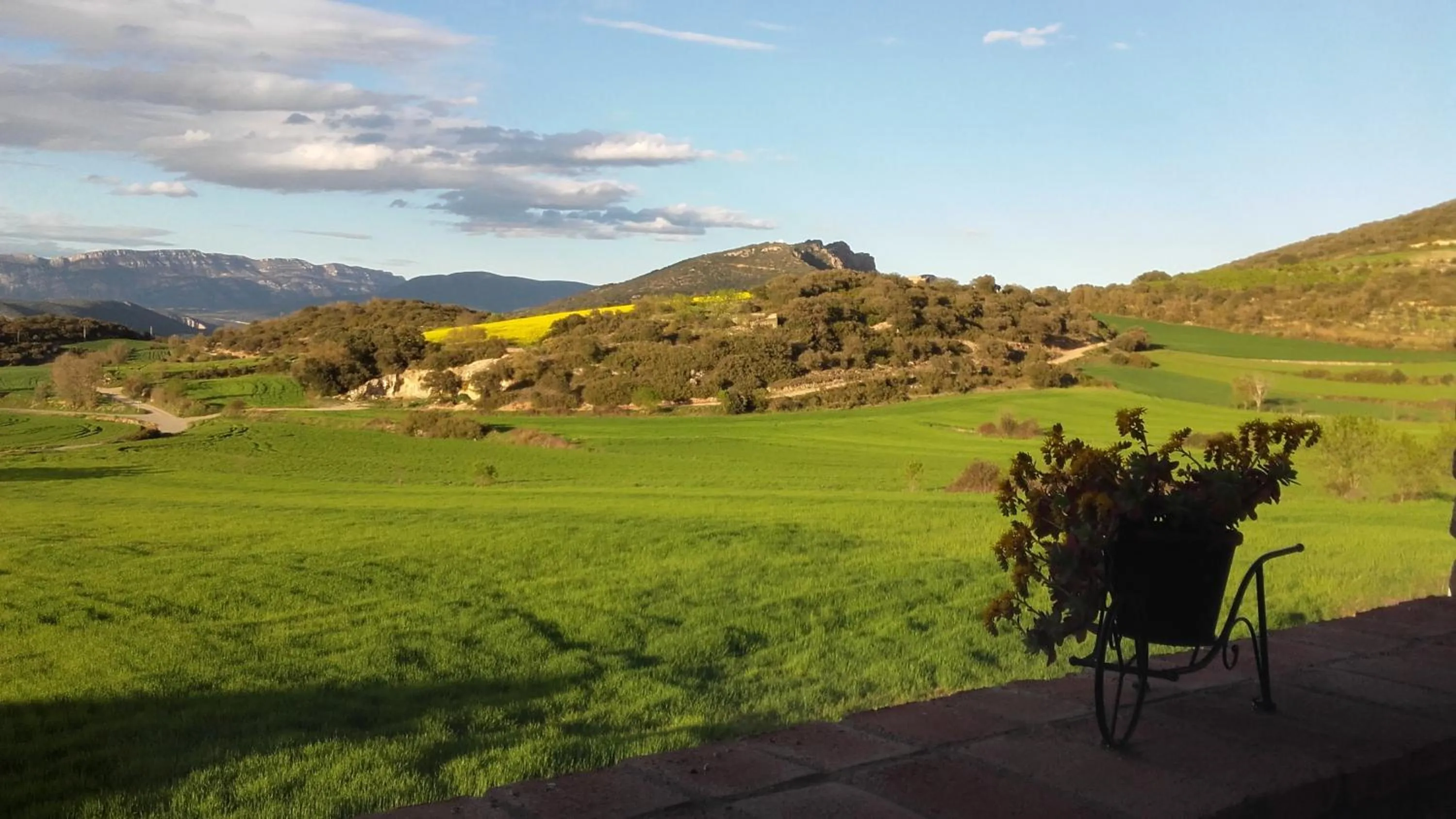 Garden in Cal Ribero
