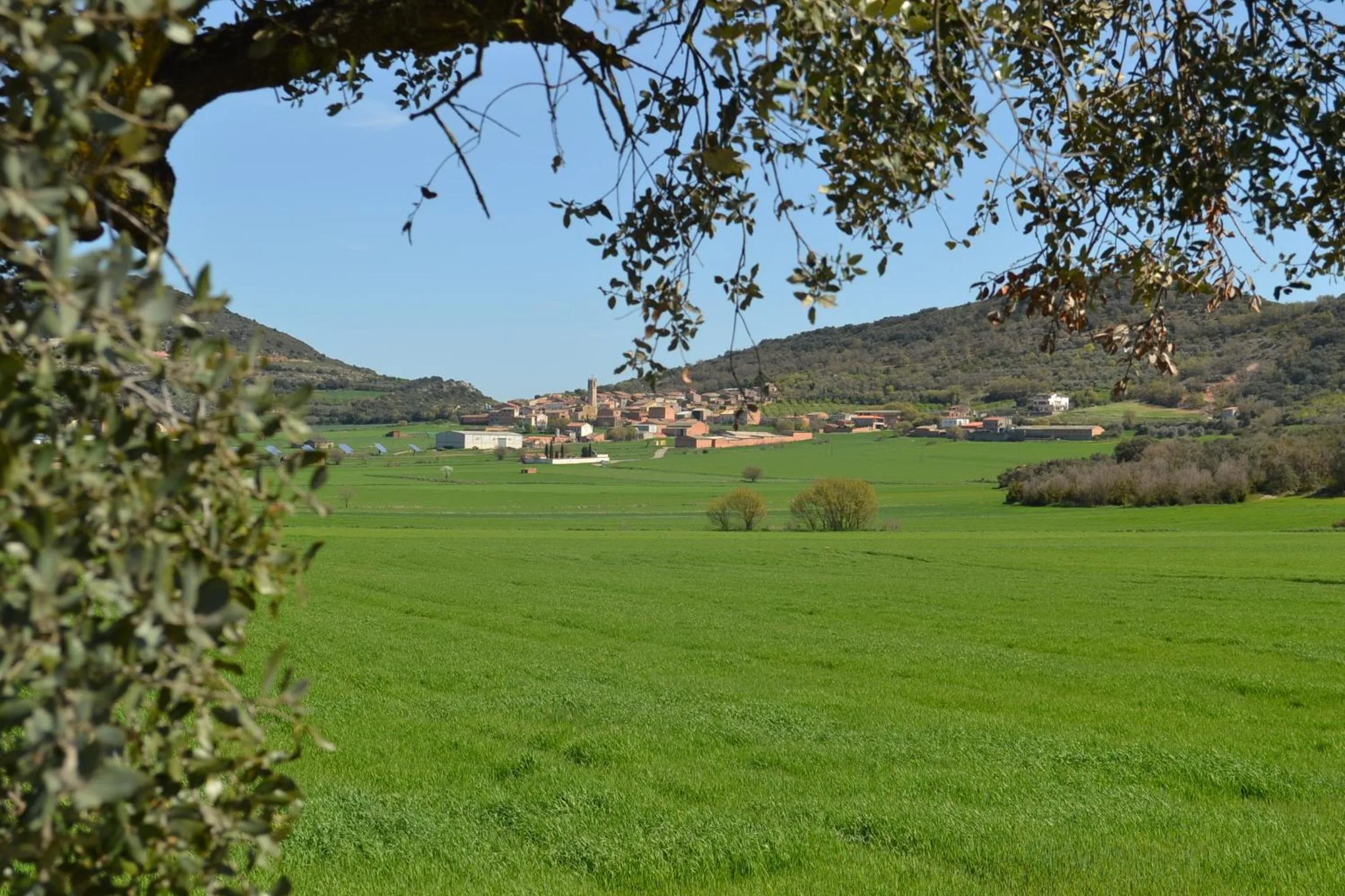 View (from property/room) in Cal Ribero