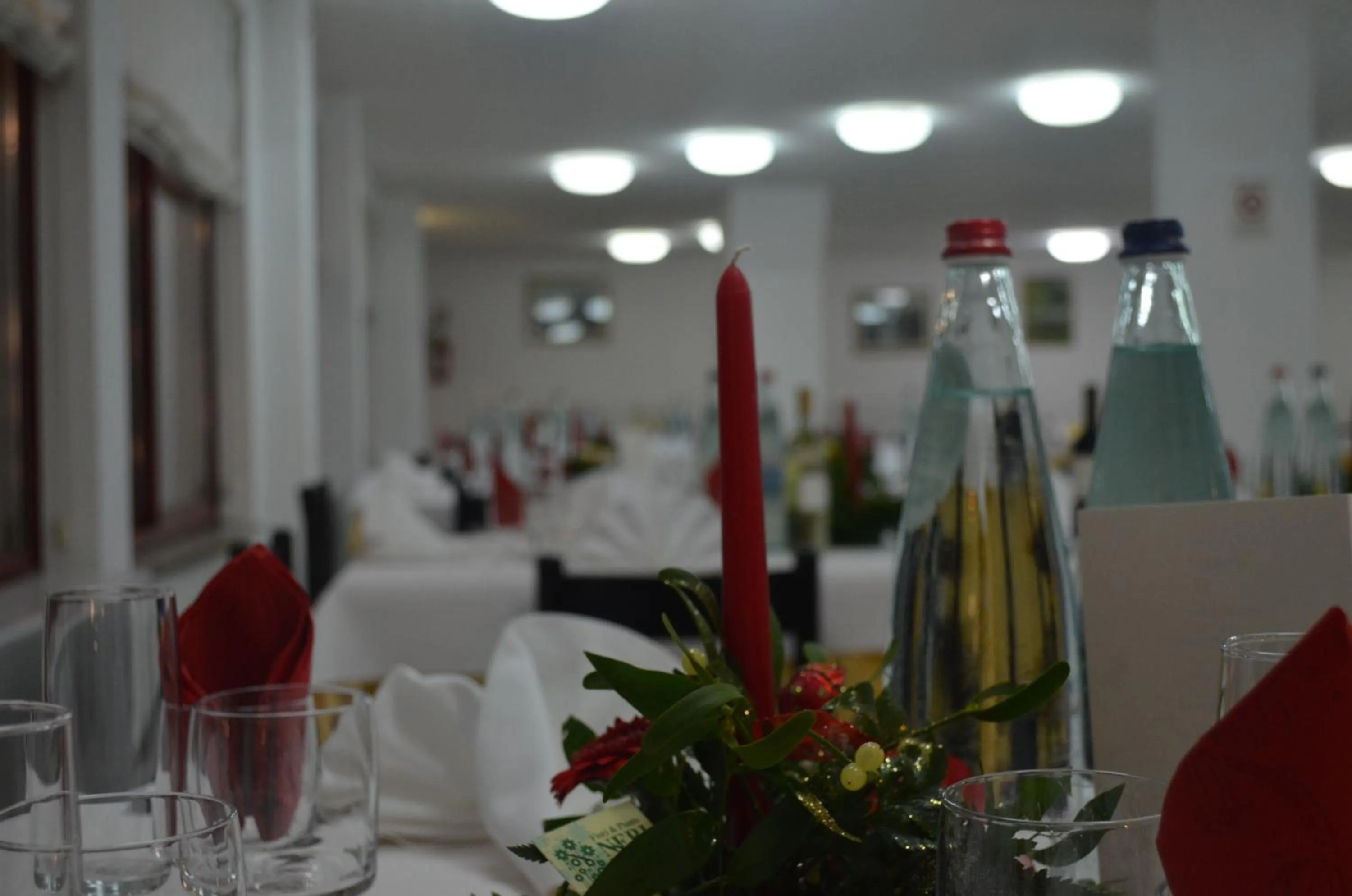 Restaurant/places to eat in Hotel Palmarosa