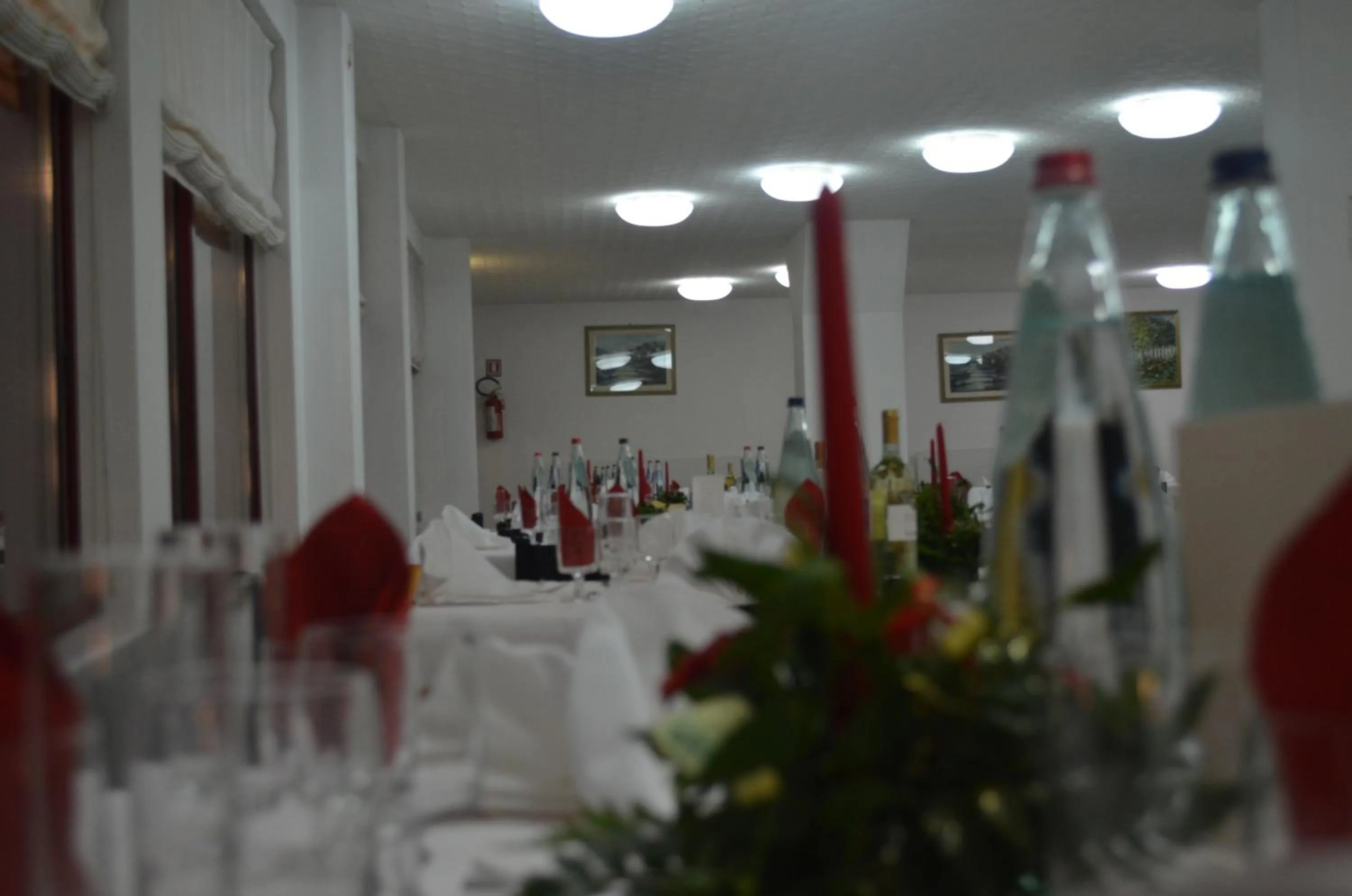 Restaurant/places to eat in Hotel Palmarosa