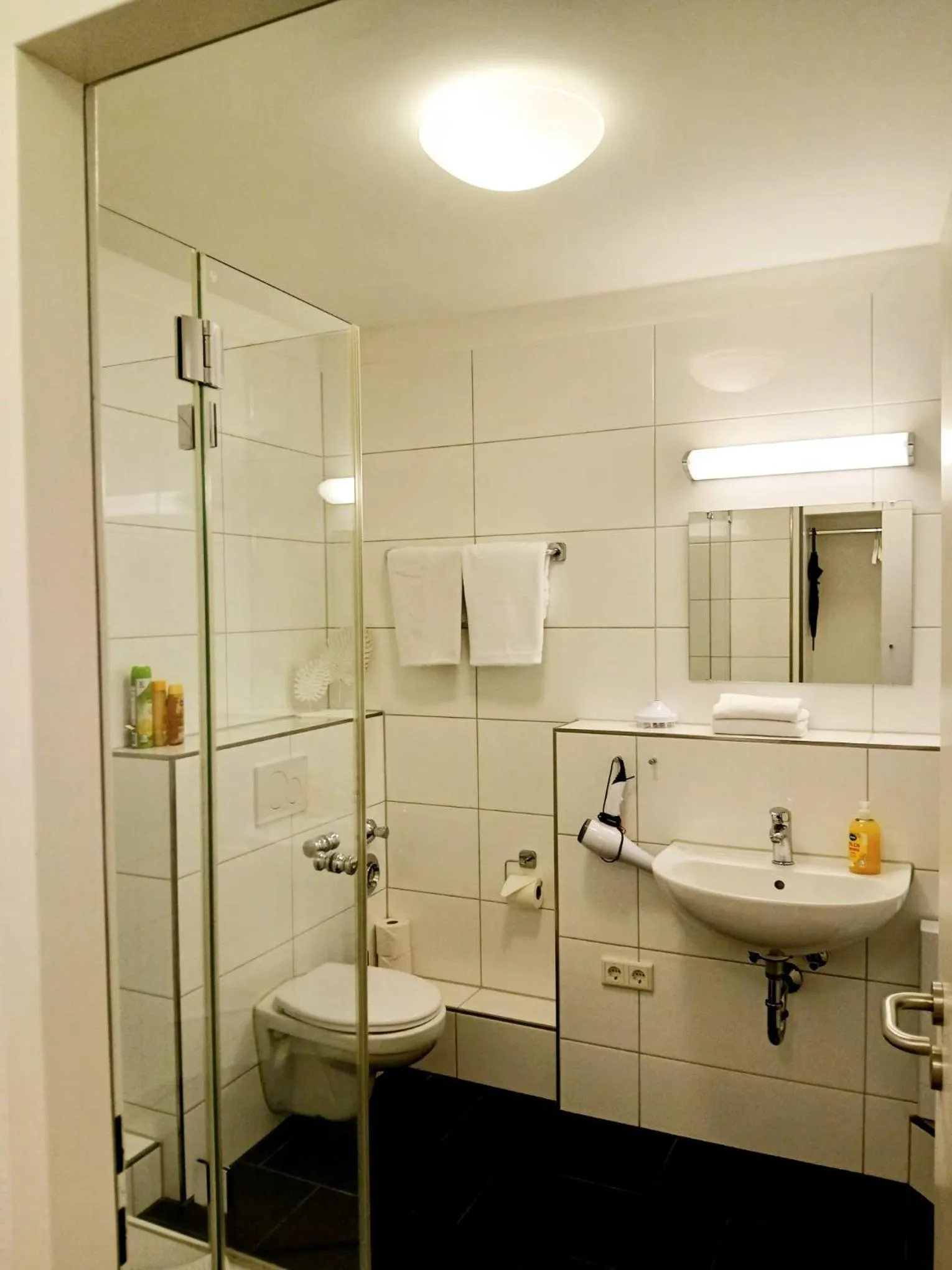 Shower in Apartments Jahnstraße